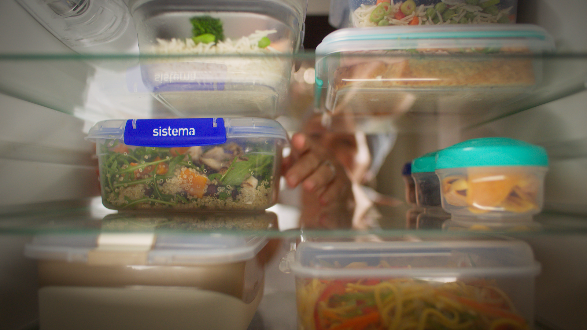 fridge.png