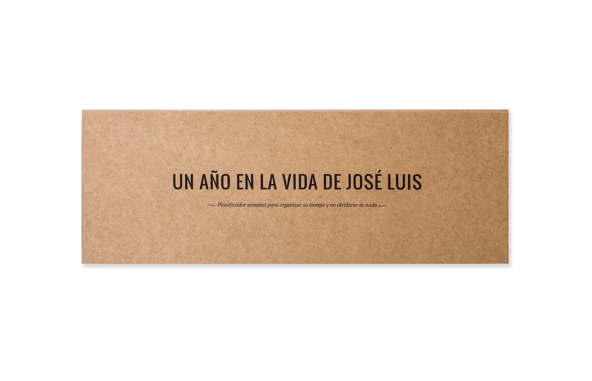 UN_AÑO_EN_LA_VIDA.jpg
