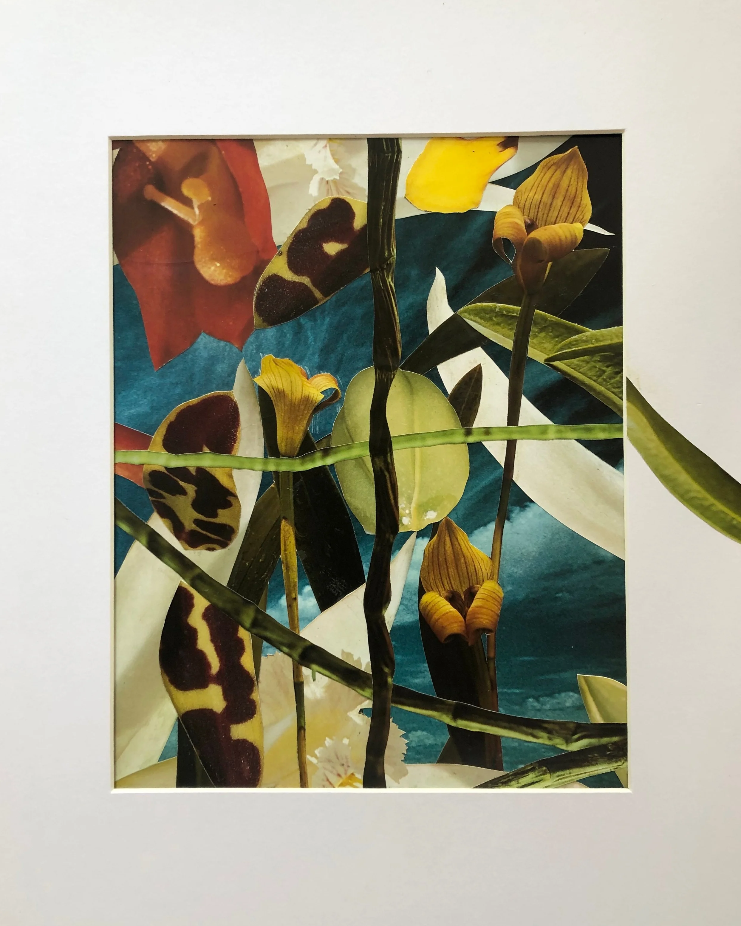 Collage (Up) 11” x 14” 2019