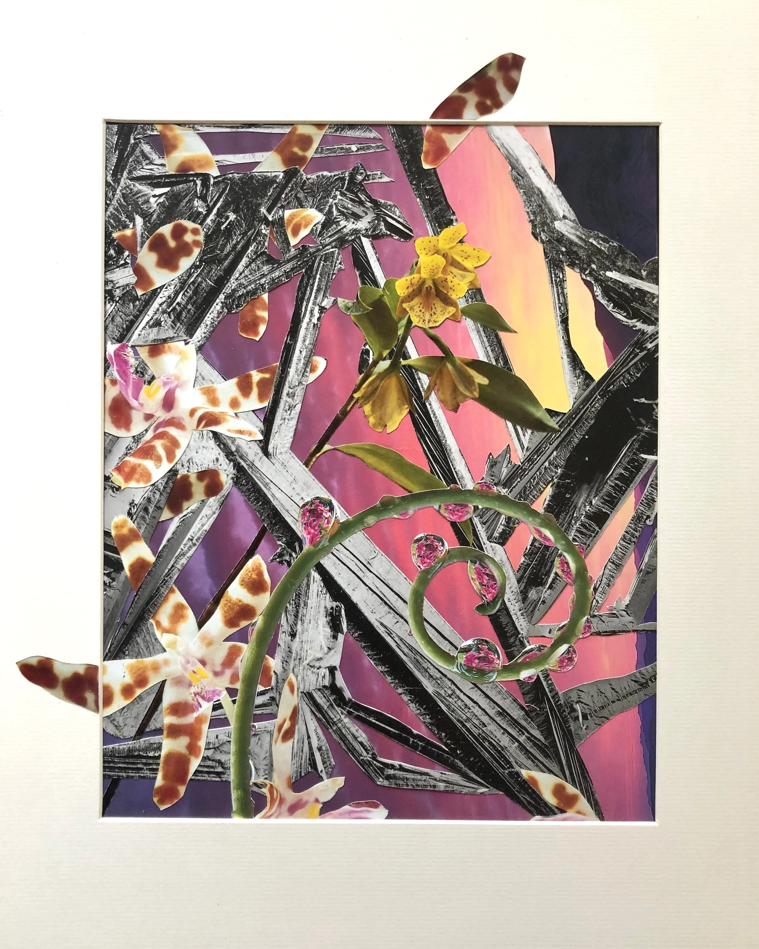 Collage (Frond) 11” x 14” 2019