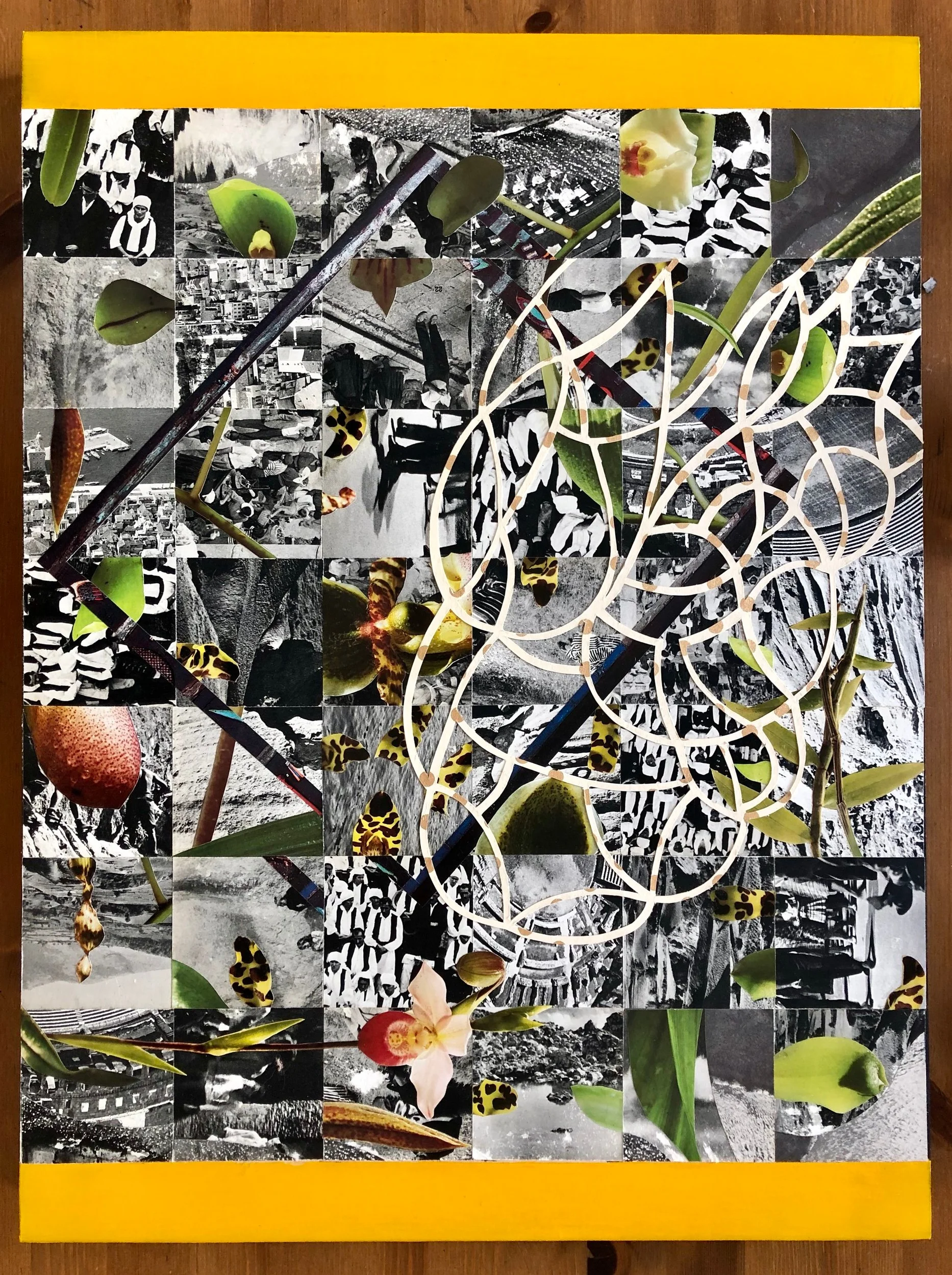 Collage (Wildflower) 18” x 24” (on wood with acrylic paint) 2019