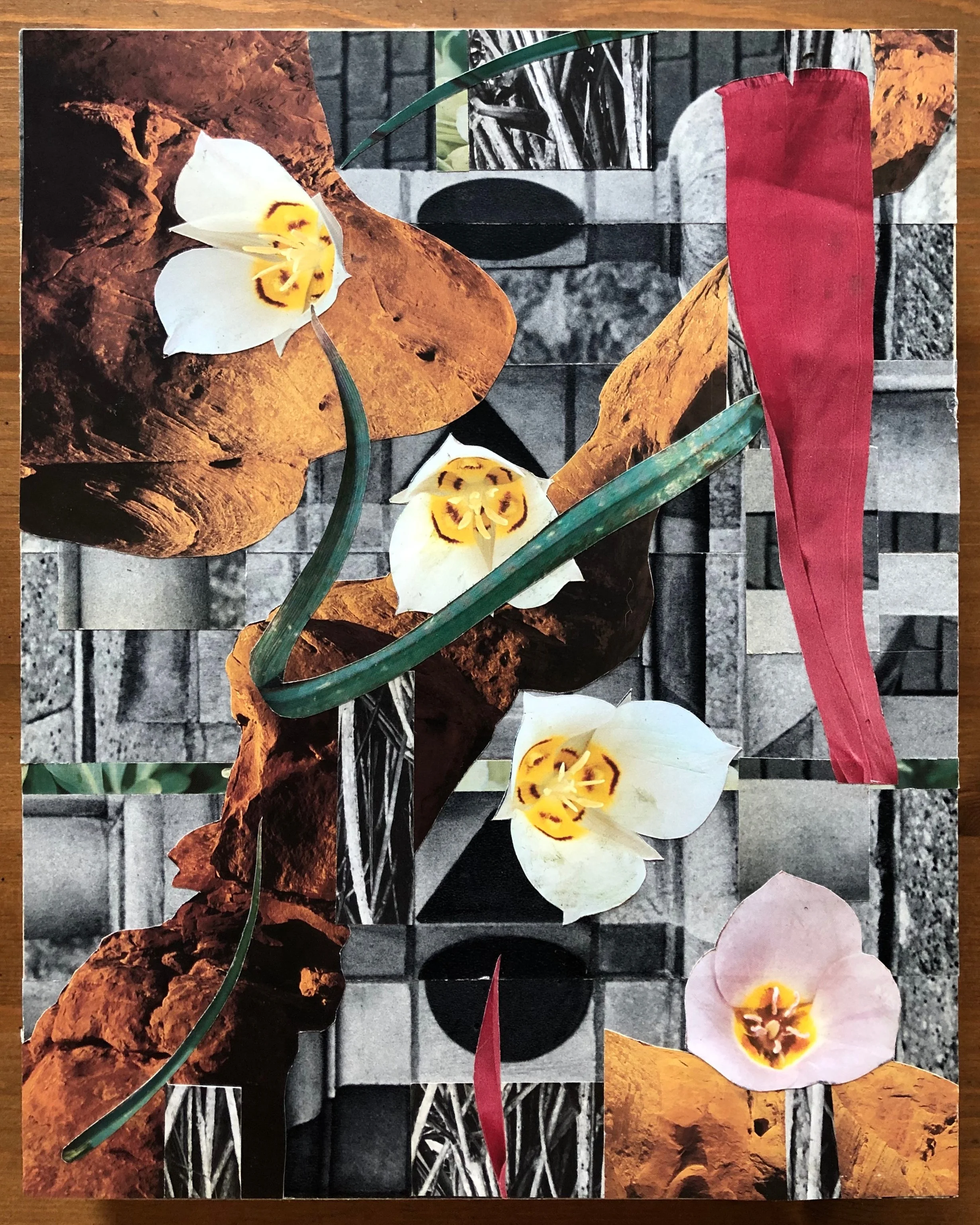 Collage (Cloak) 8” x 10” (on wood) 2019