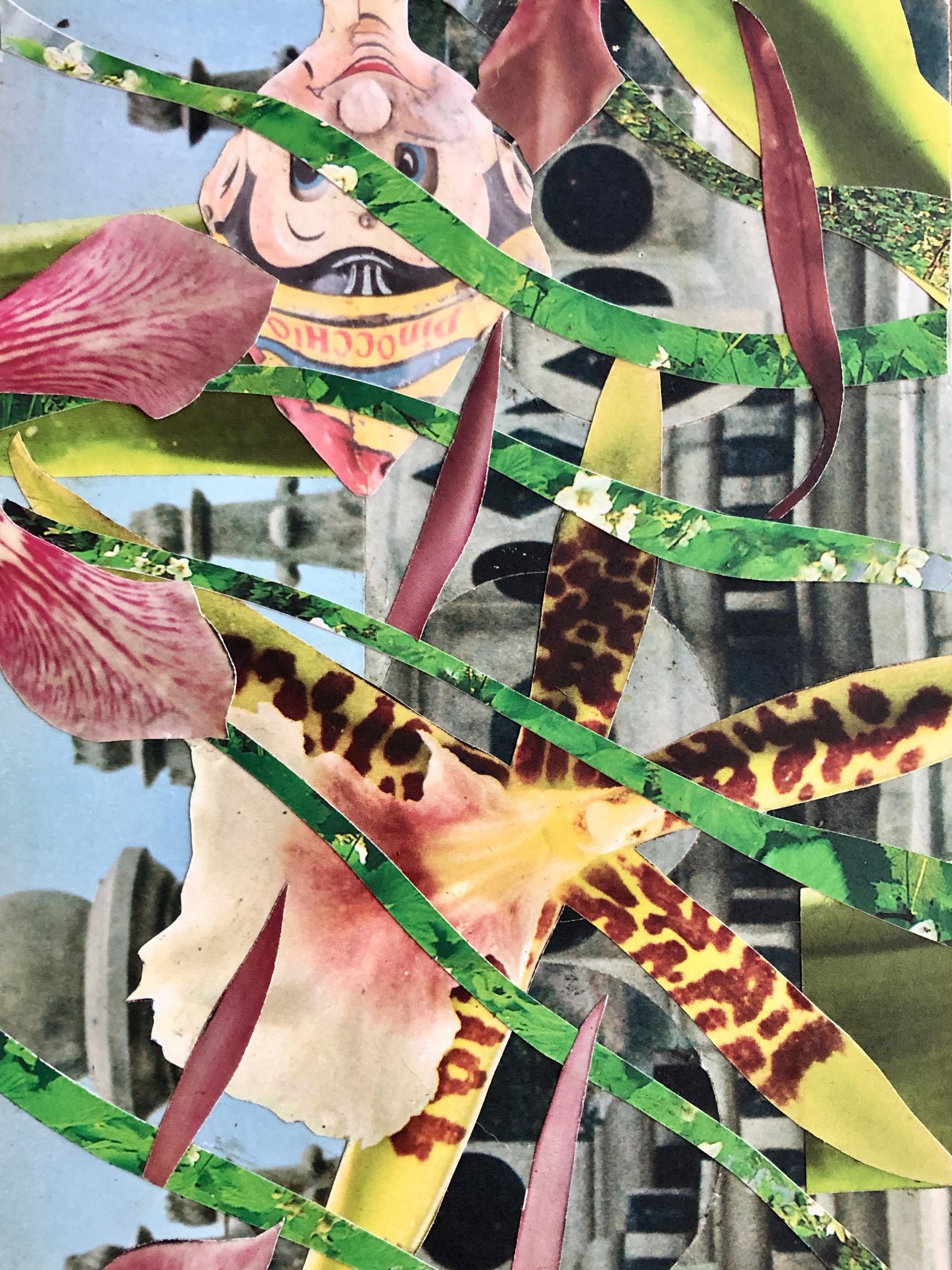 Collage (Forage) 8” x 5” (on wood) 2018