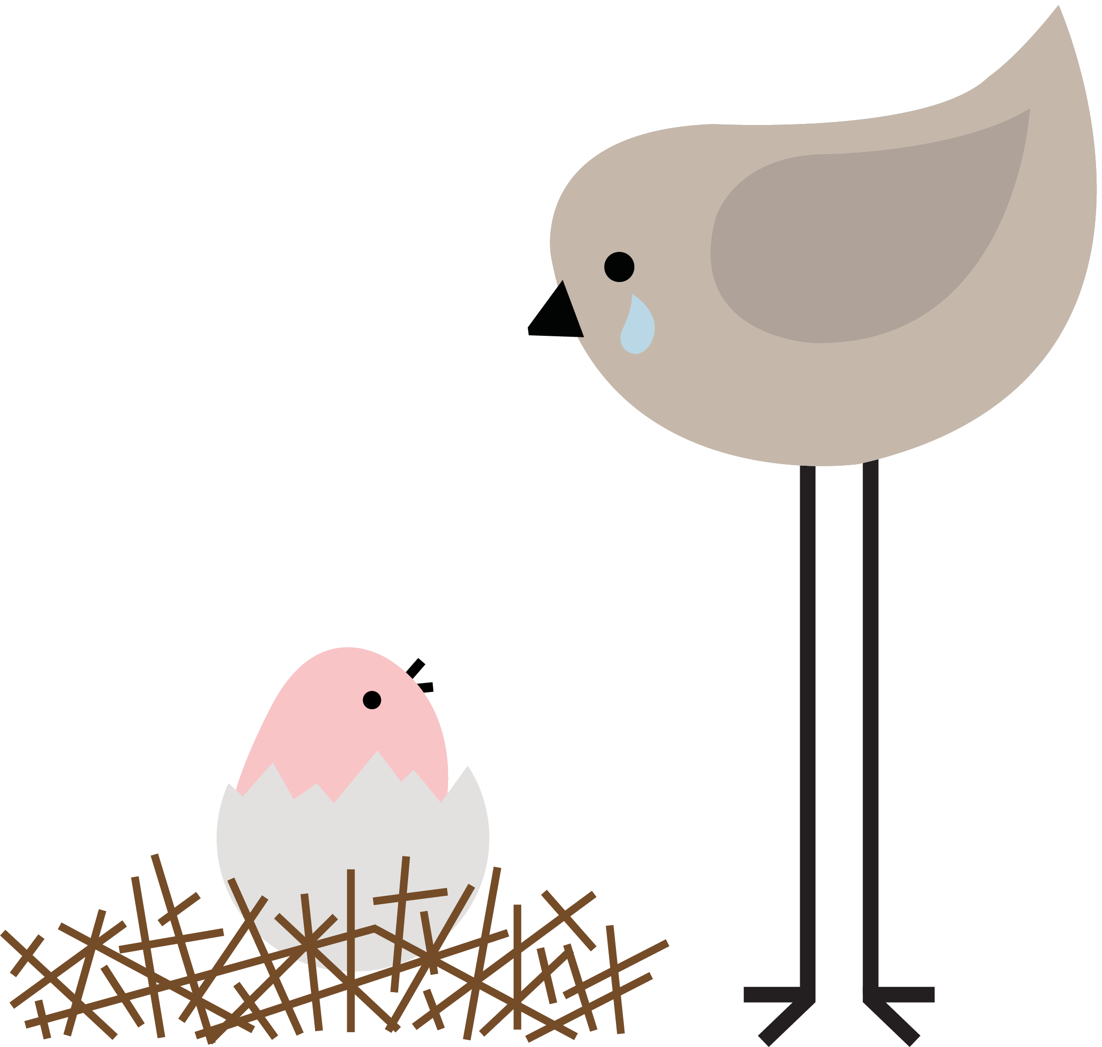 Birds2_flipped.png