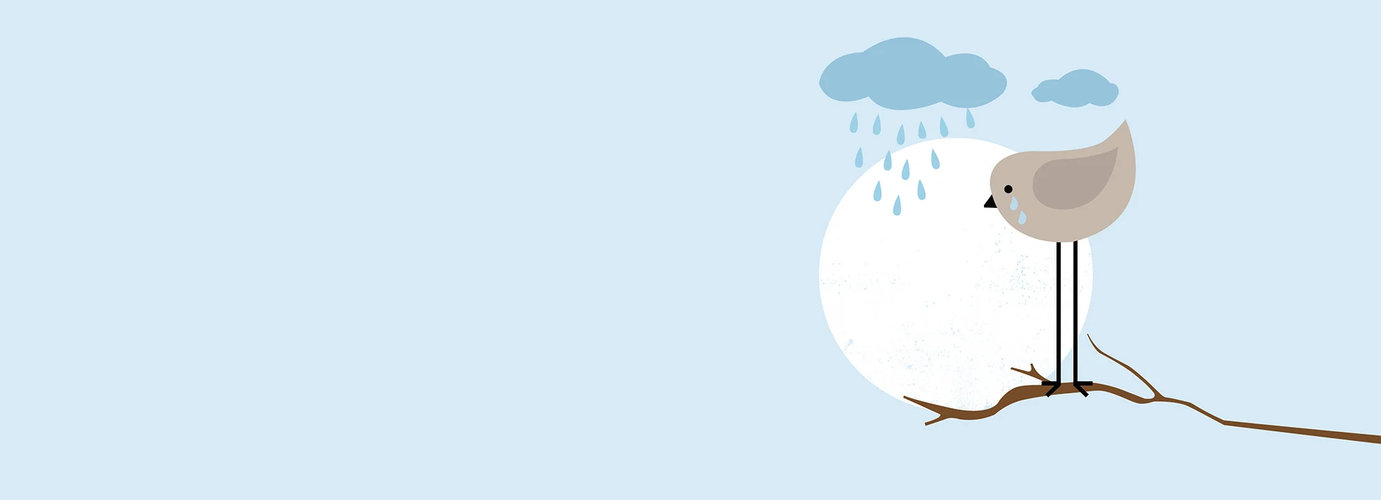 Banner_cryingBirdFlipped.jpg