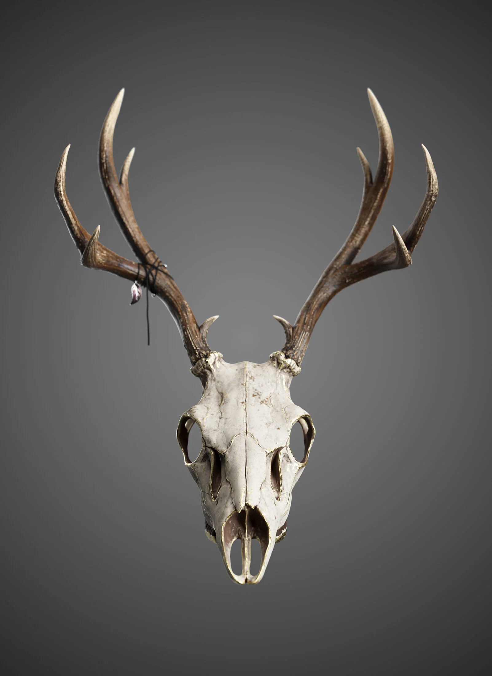 deerHead.jpg