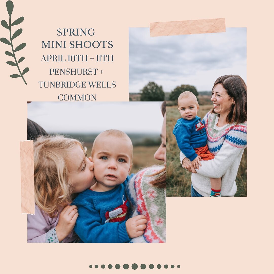 Here we go! I see that light 💫 these are my new mini shoot dates &amp; I hope we can go ahead and make some lovely memories and forget the first half of this year ! 

It&rsquo;s taken me so long to even summon the energy to look at my business IG. B