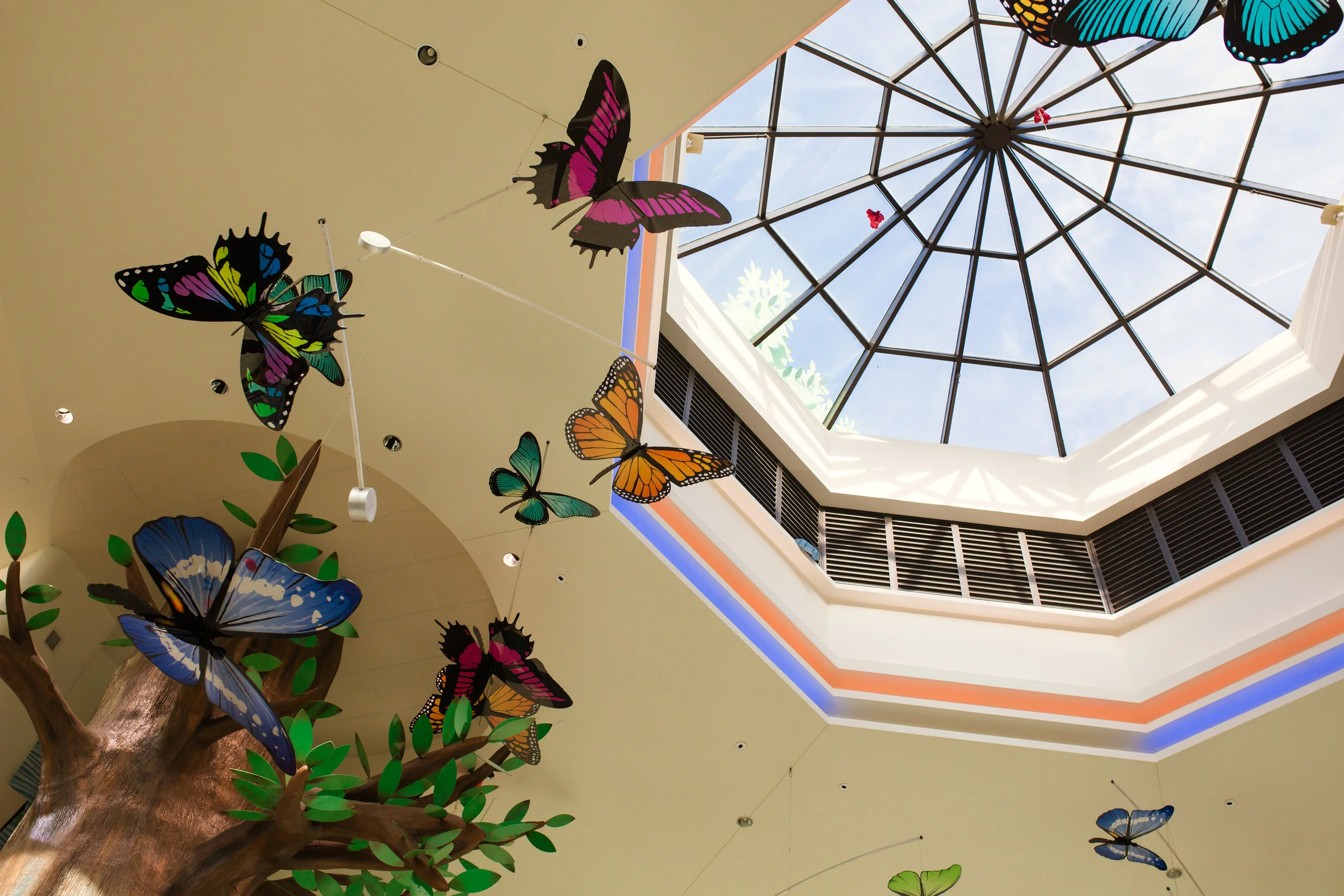 WOWM 18_11_04 Alison Peterson Fresh48 - Keaton Noah235.jpg