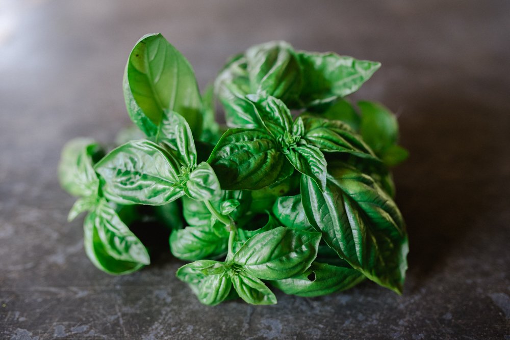 Basil · 40g/80g packed