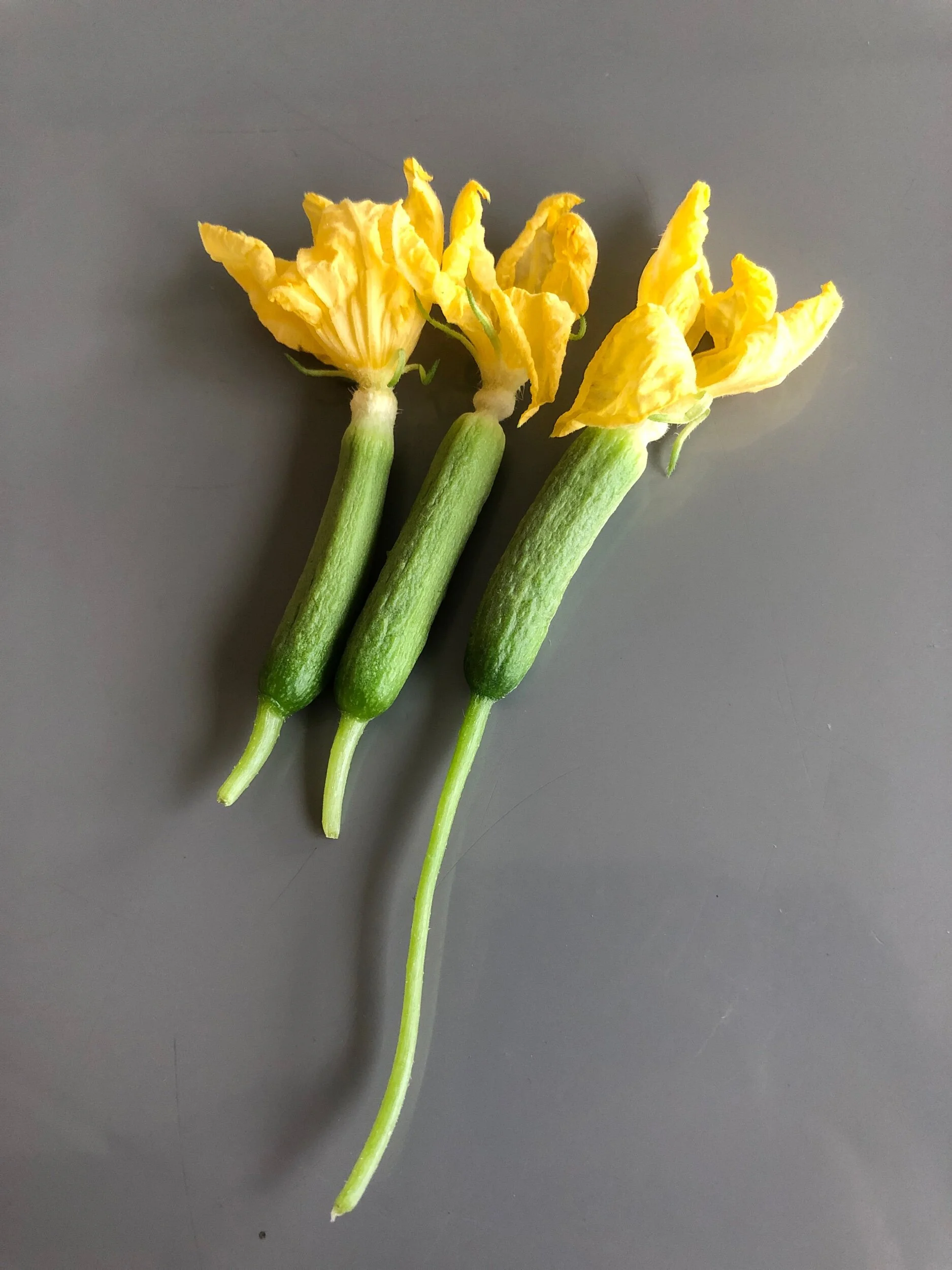 4E7E0BF8-E7F5-4086-9859-C308DDF44893