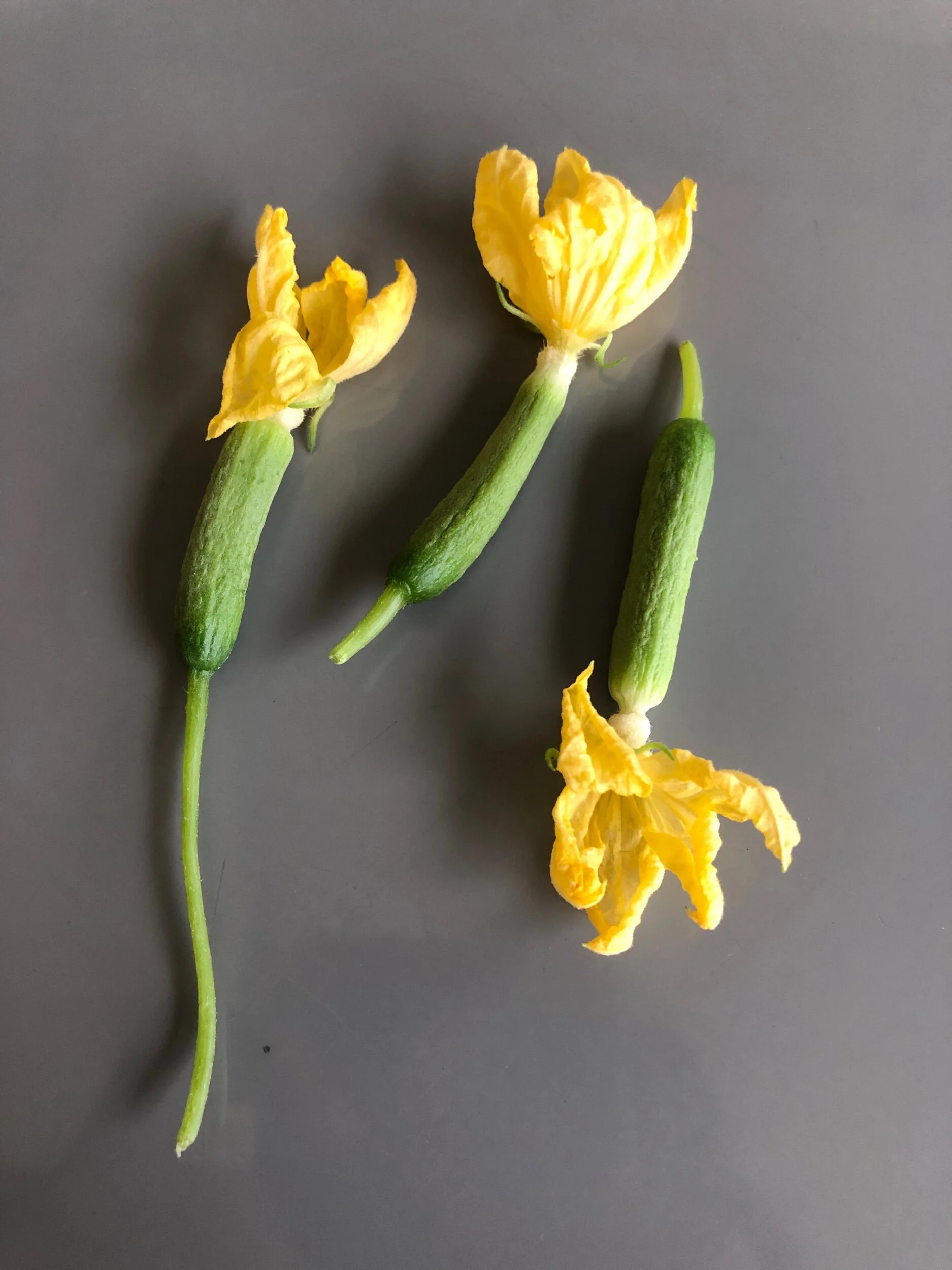 D8C7A4BE-835D-41A3-B156-287BCA376FFB