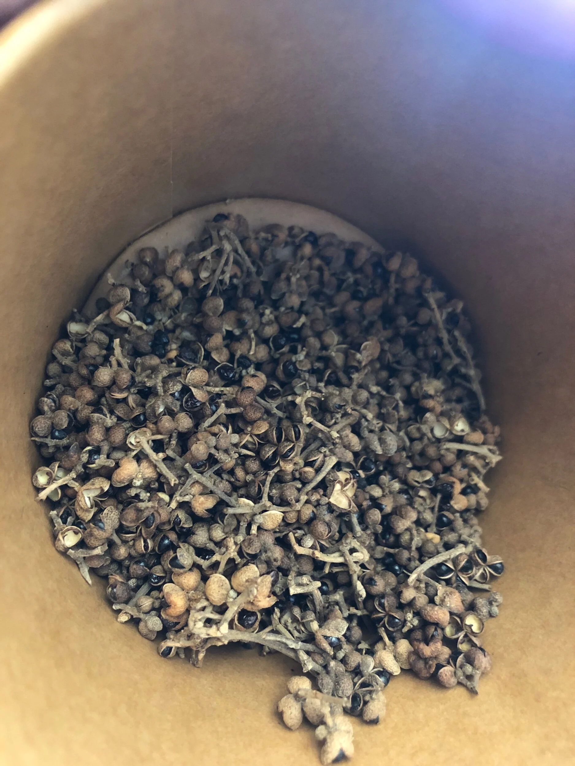 8FAA3A3B-A59B-46B6-B24C-E47A644B2510