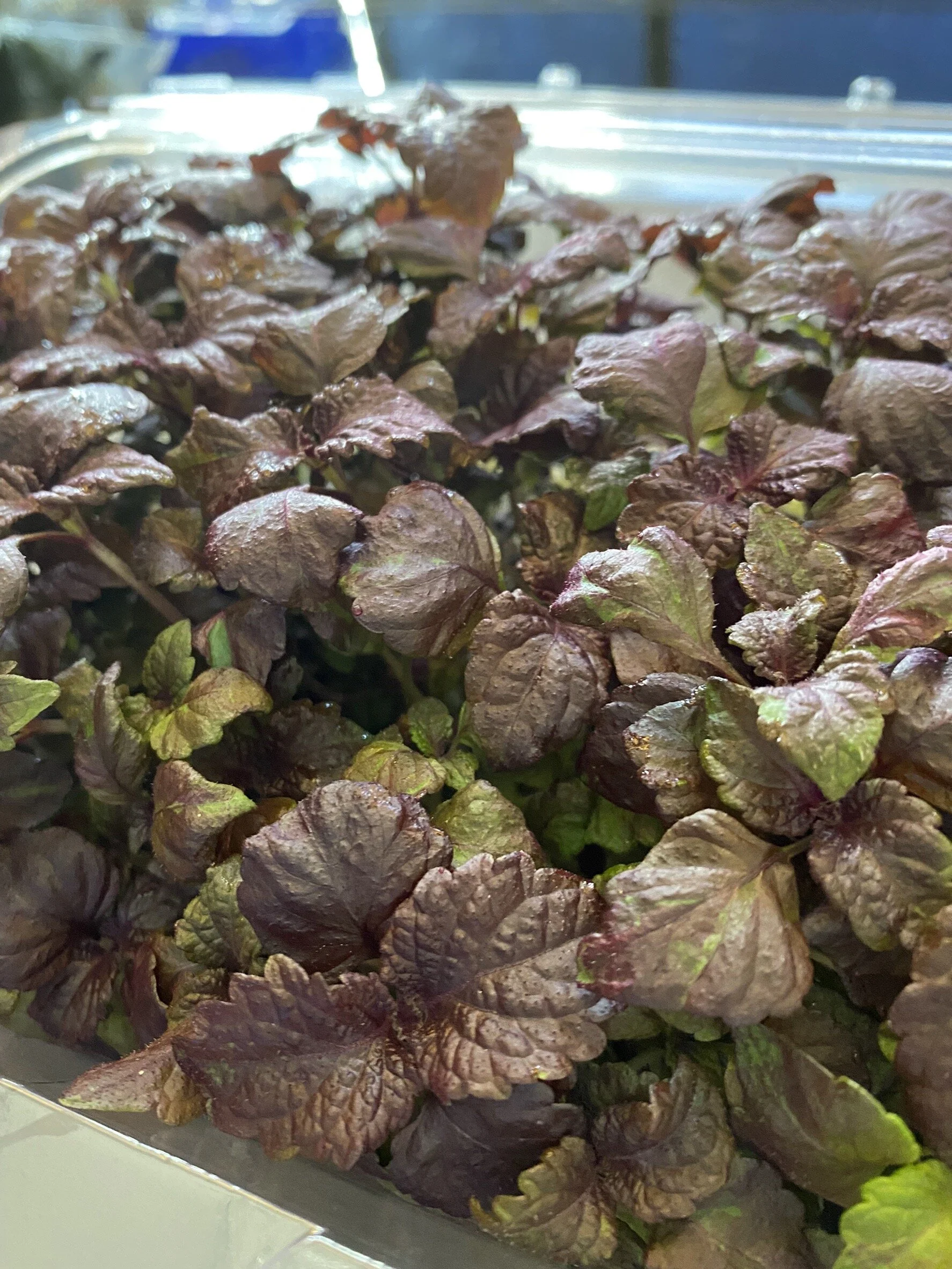 8ECA1C57-C417-4FCA-8D46-BBE912AE5099