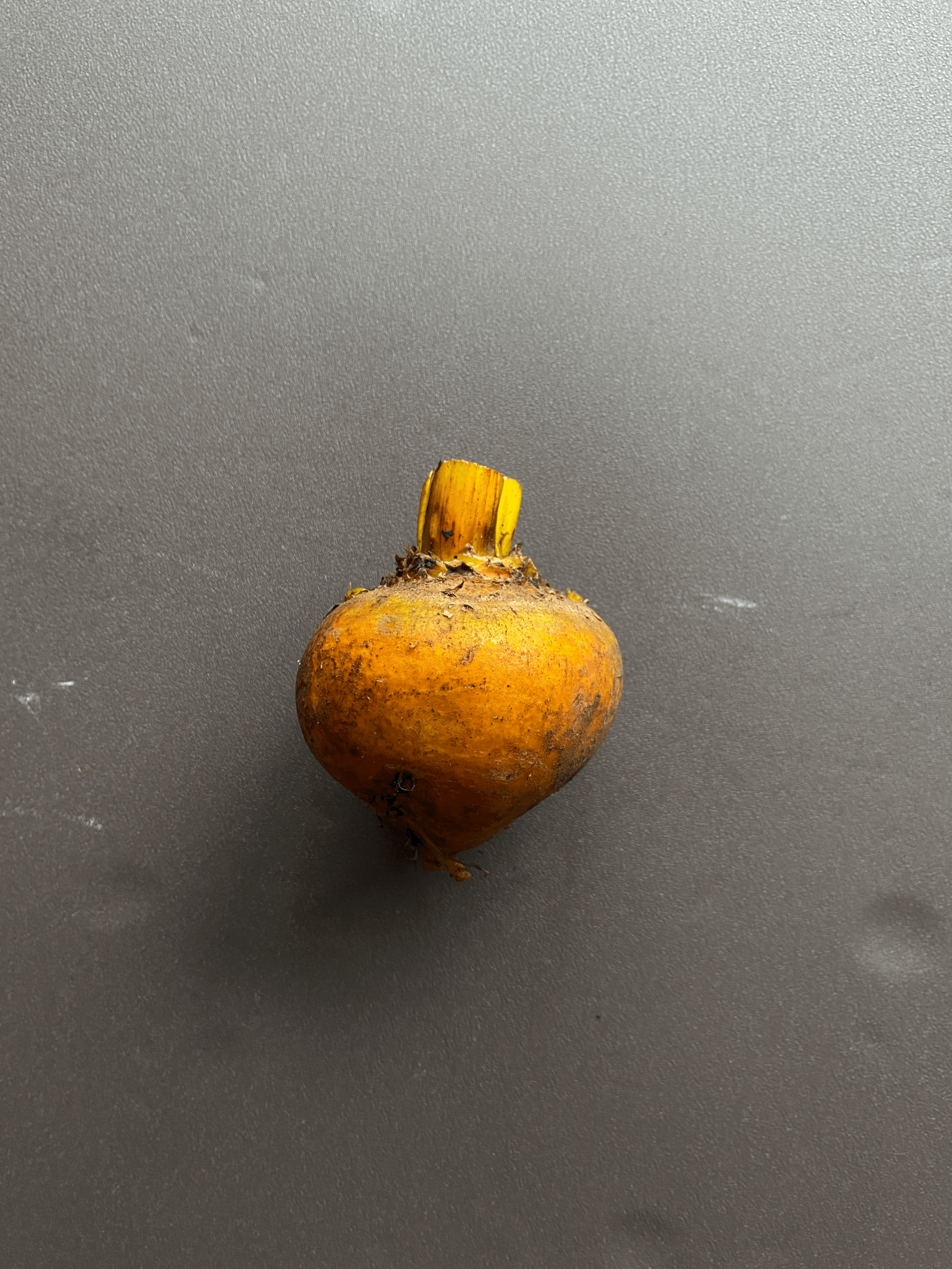 tempImageD1tN3e.gif