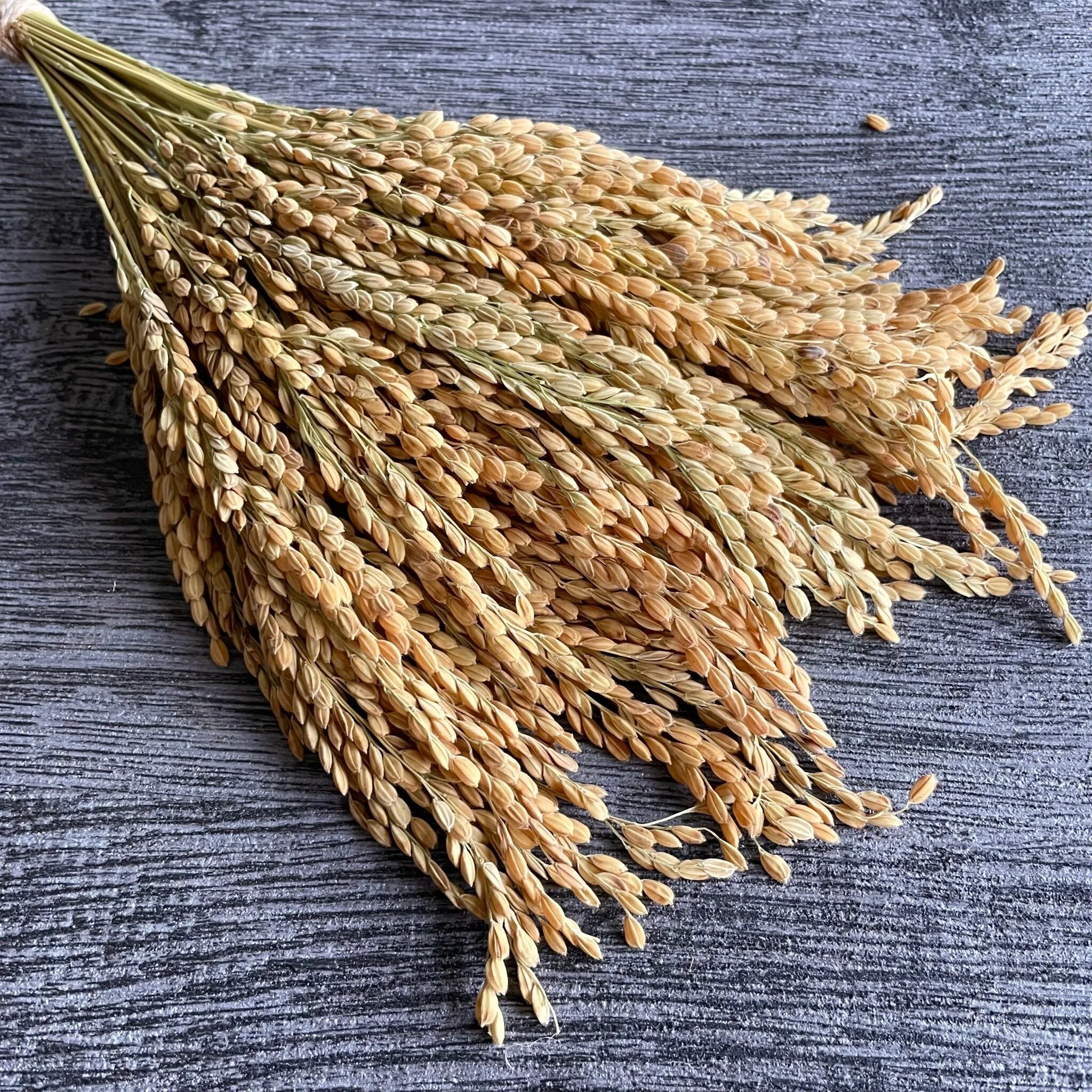 F52D7623-DA45-4046-BB2E-189E1F0C402C