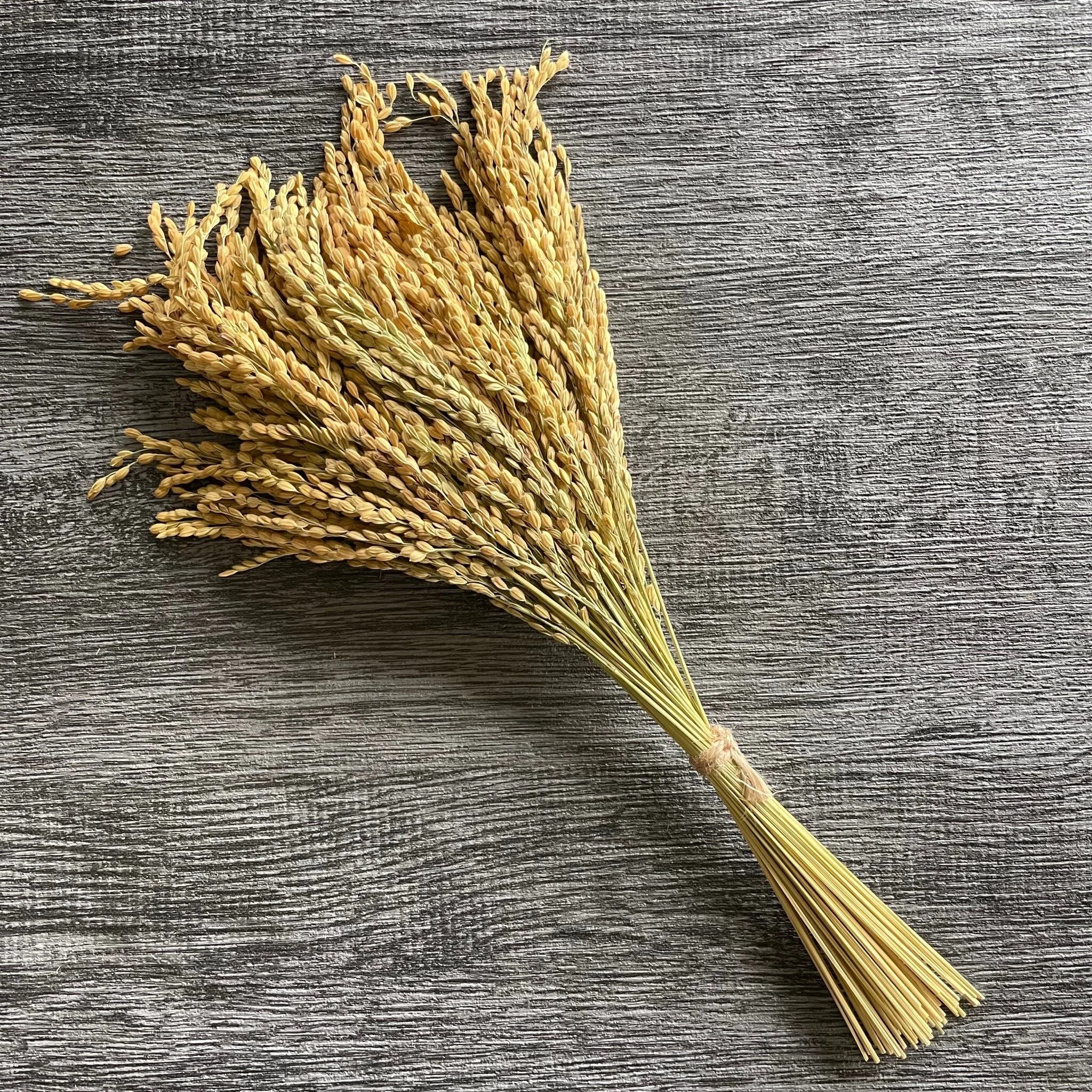 4363BA84-230D-44E1-A435-0775A9674E66