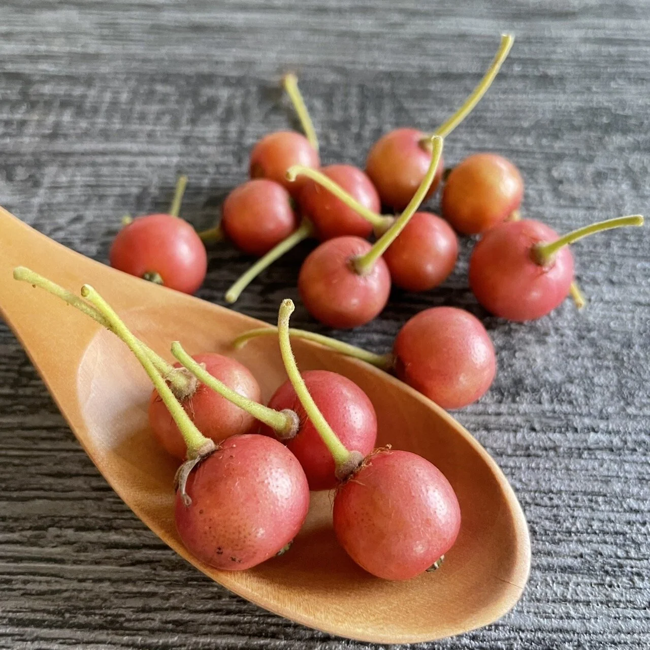 FF036E2F-269A-4AEE-84DB-7D87DA71F72B