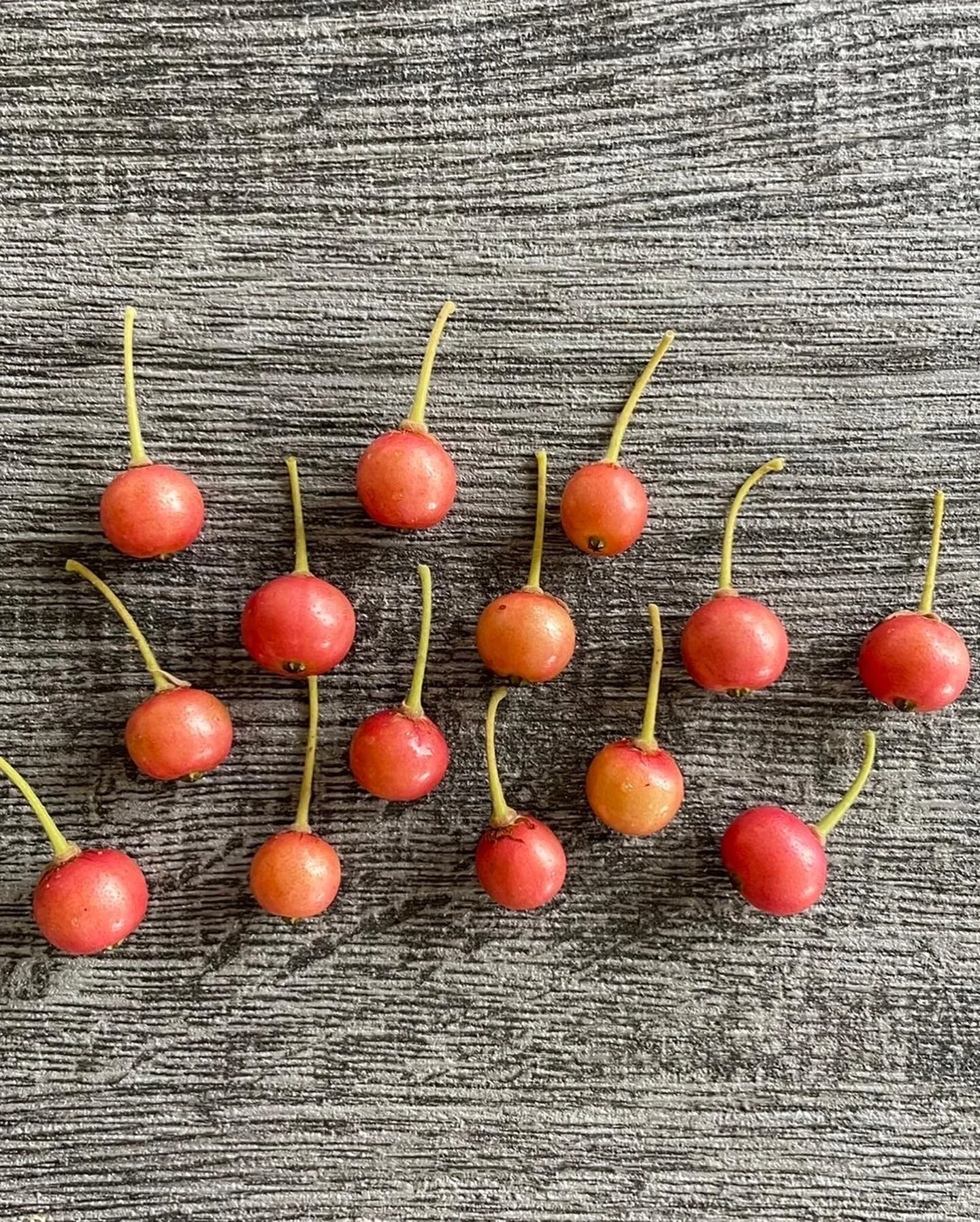 E58D9286-737C-4D78-9FAE-3B84055A893E