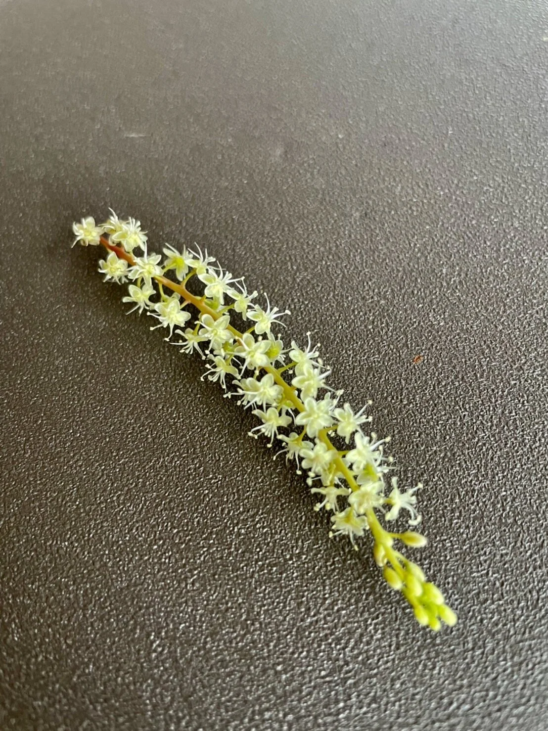 85E781A7-35E9-4BED-9179-E53E8ADA7DE3