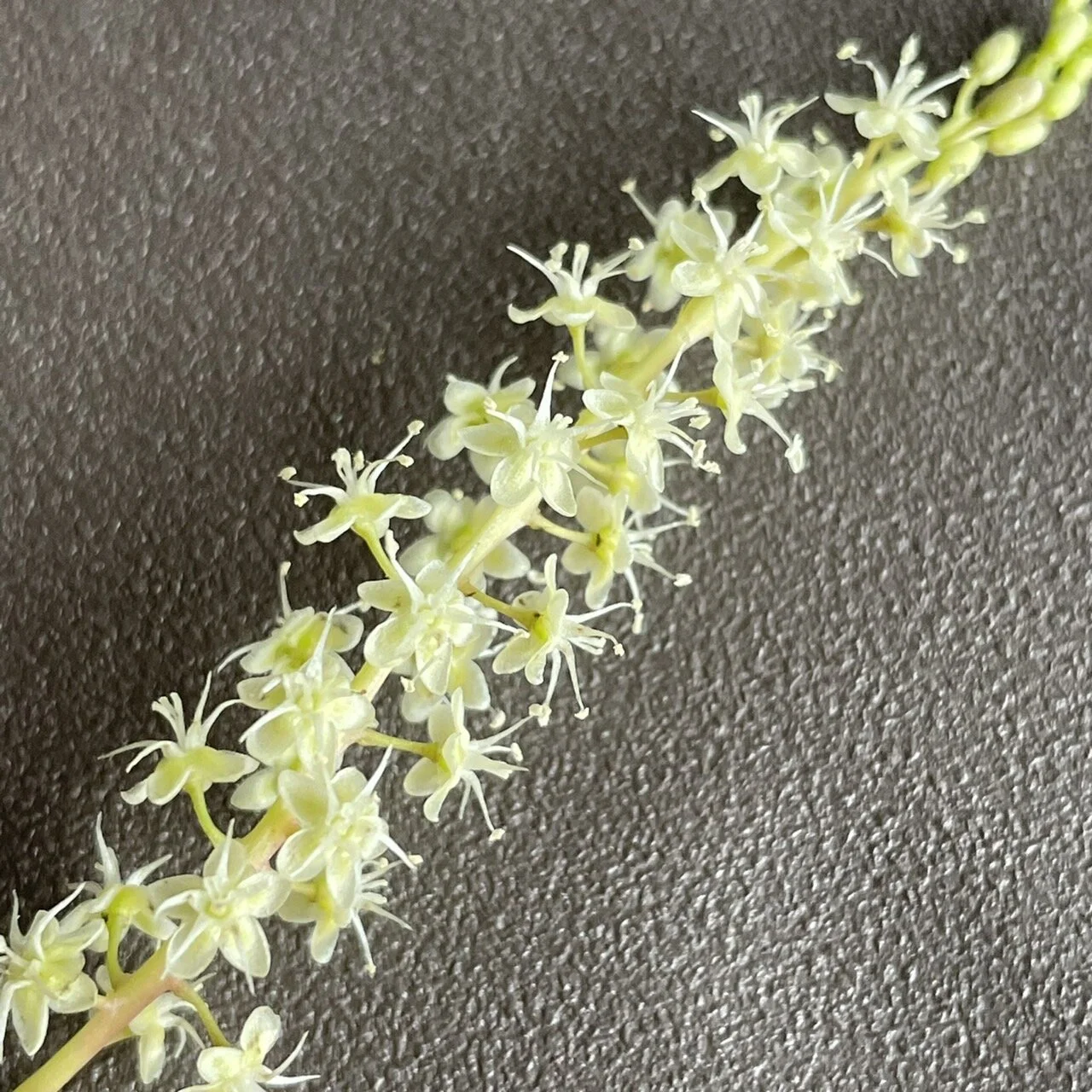 A8B79509-5F7A-4F9B-B092-48B991FE1D33