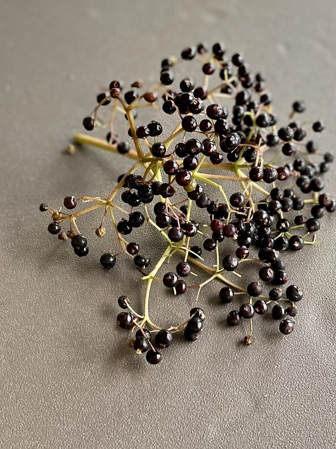 0F02C430-2968-47F7-8266-90531A1640BC