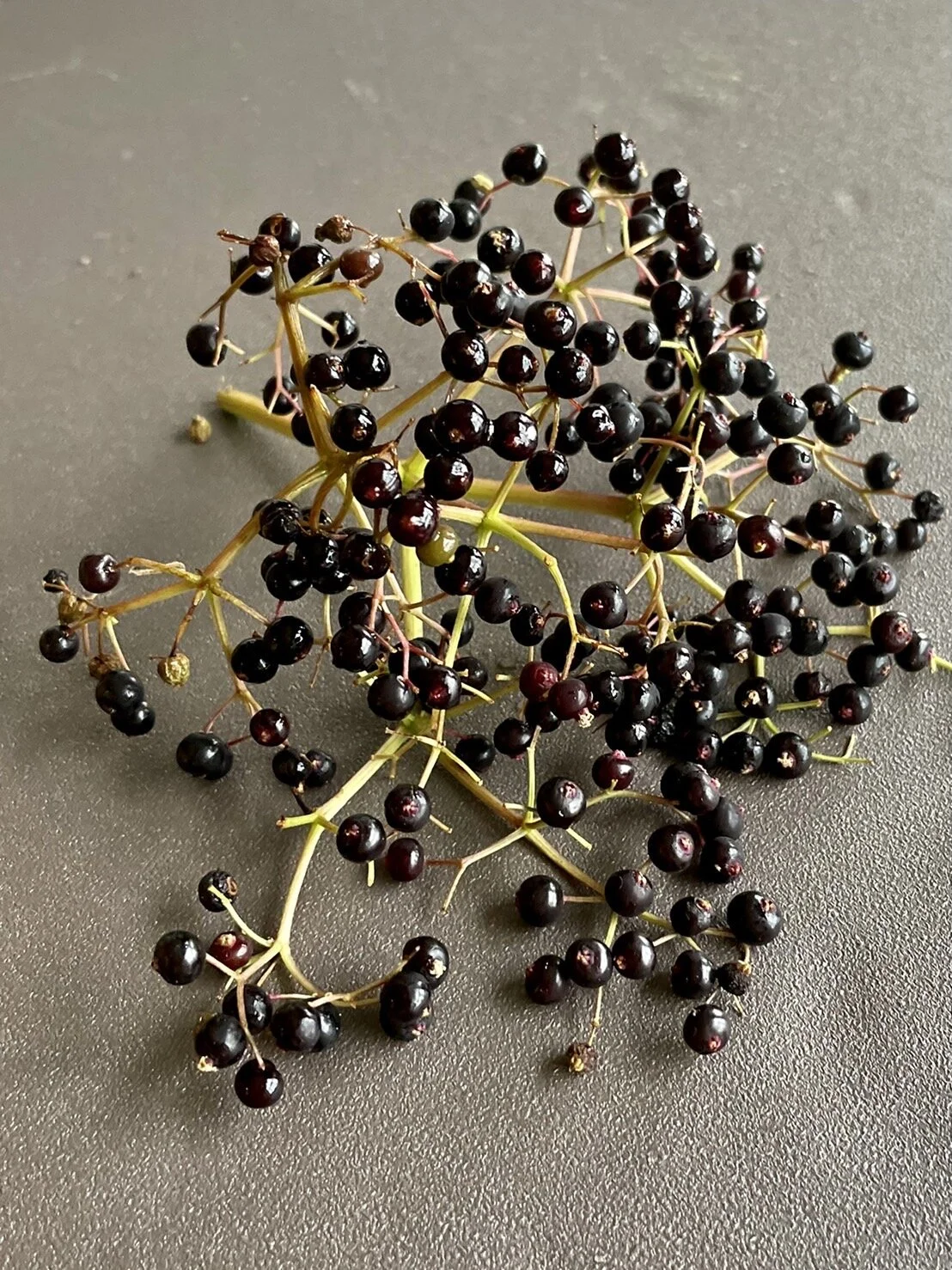 675861A4-BC56-48F3-B3A0-8C6E2FE64C63