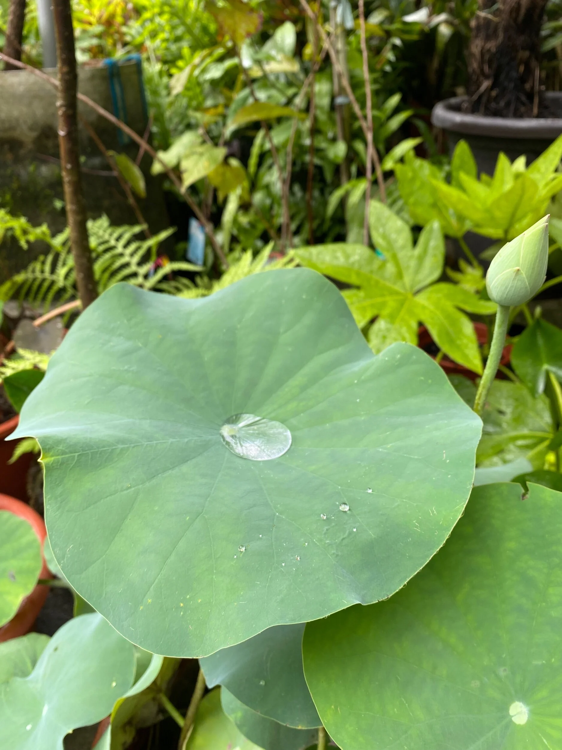 88691704-1642-45B3-BFBE-963A6D7BC129