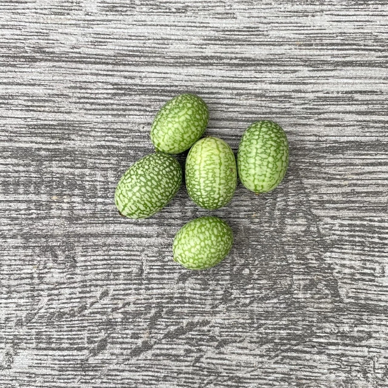 579A9503-F022-43E6-A470-7BE05DDCBEA9