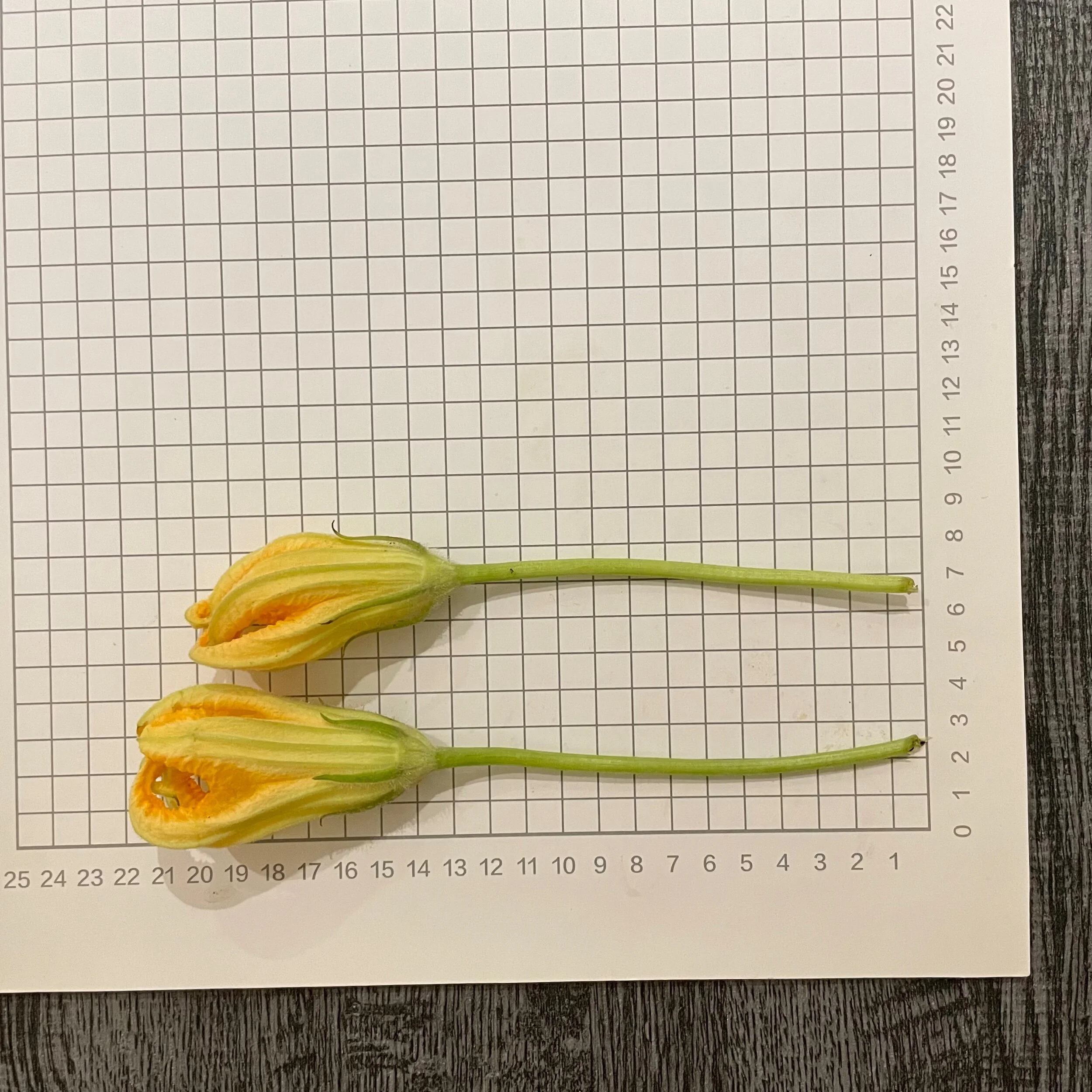 1E4F22A7-1EC2-4A87-BA9F-94439EB8C4C0