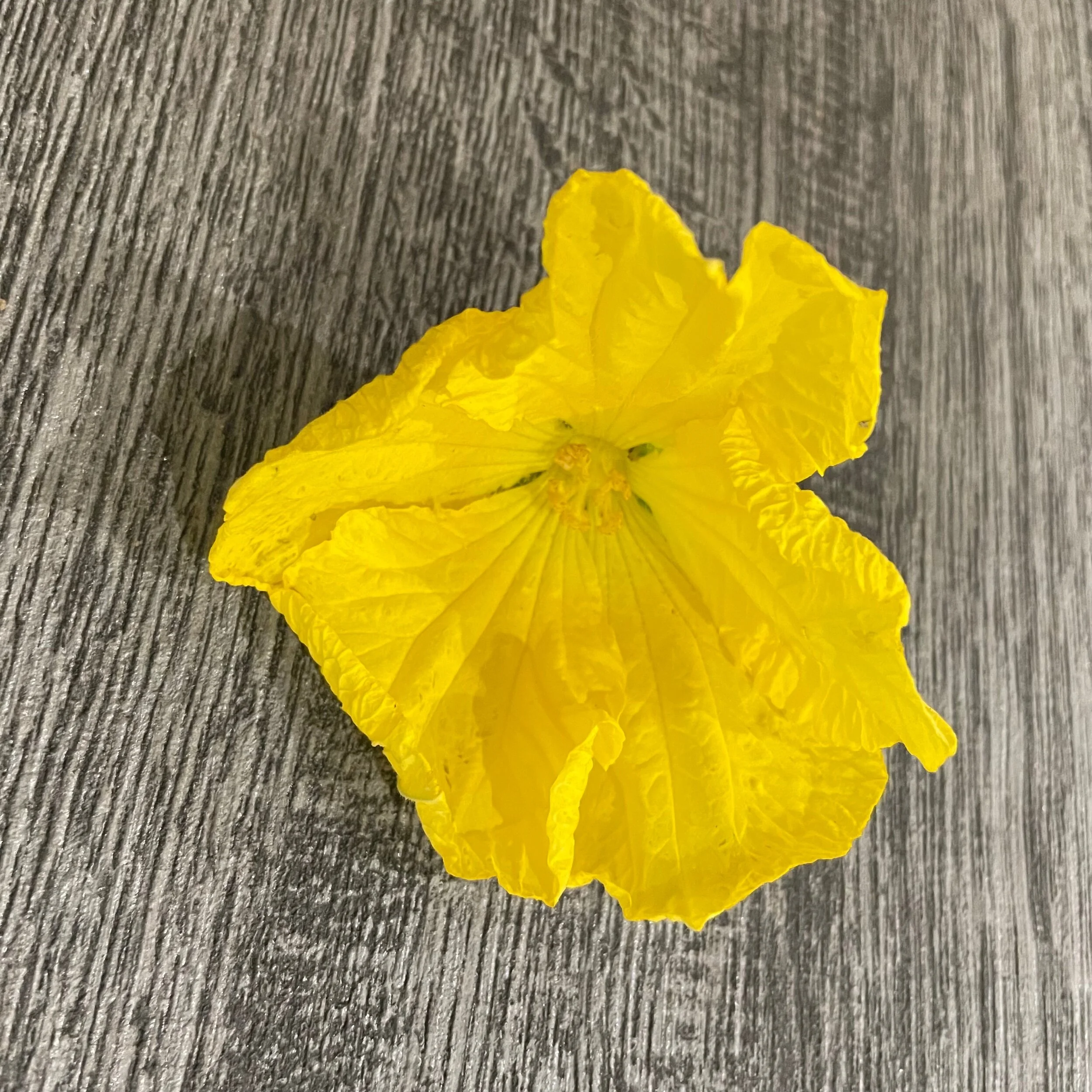 5D376C4F-A5E1-421C-B748-279E98BD59DF