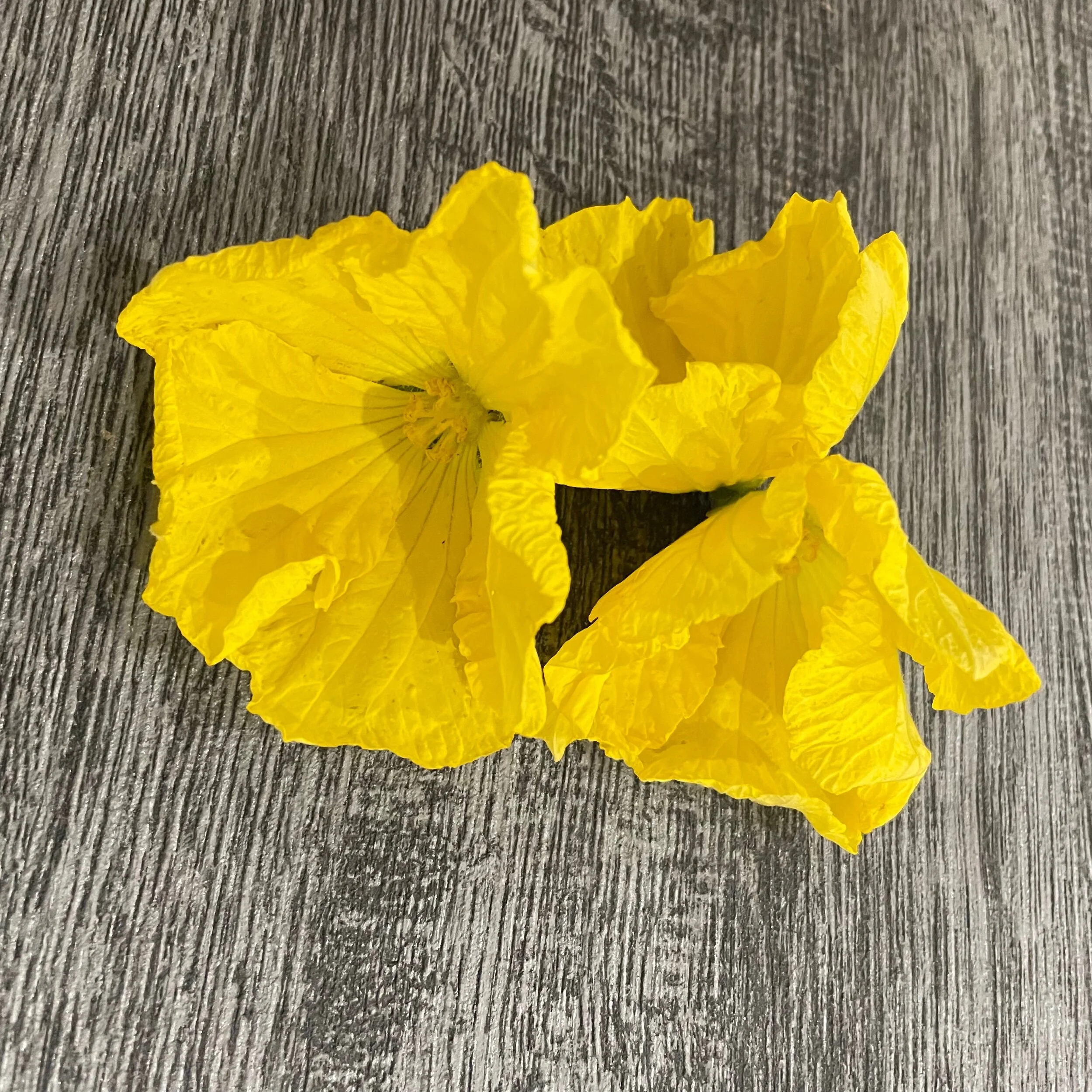 2F1EFC96-E4BF-4E63-AF2F-6468D8678C4B