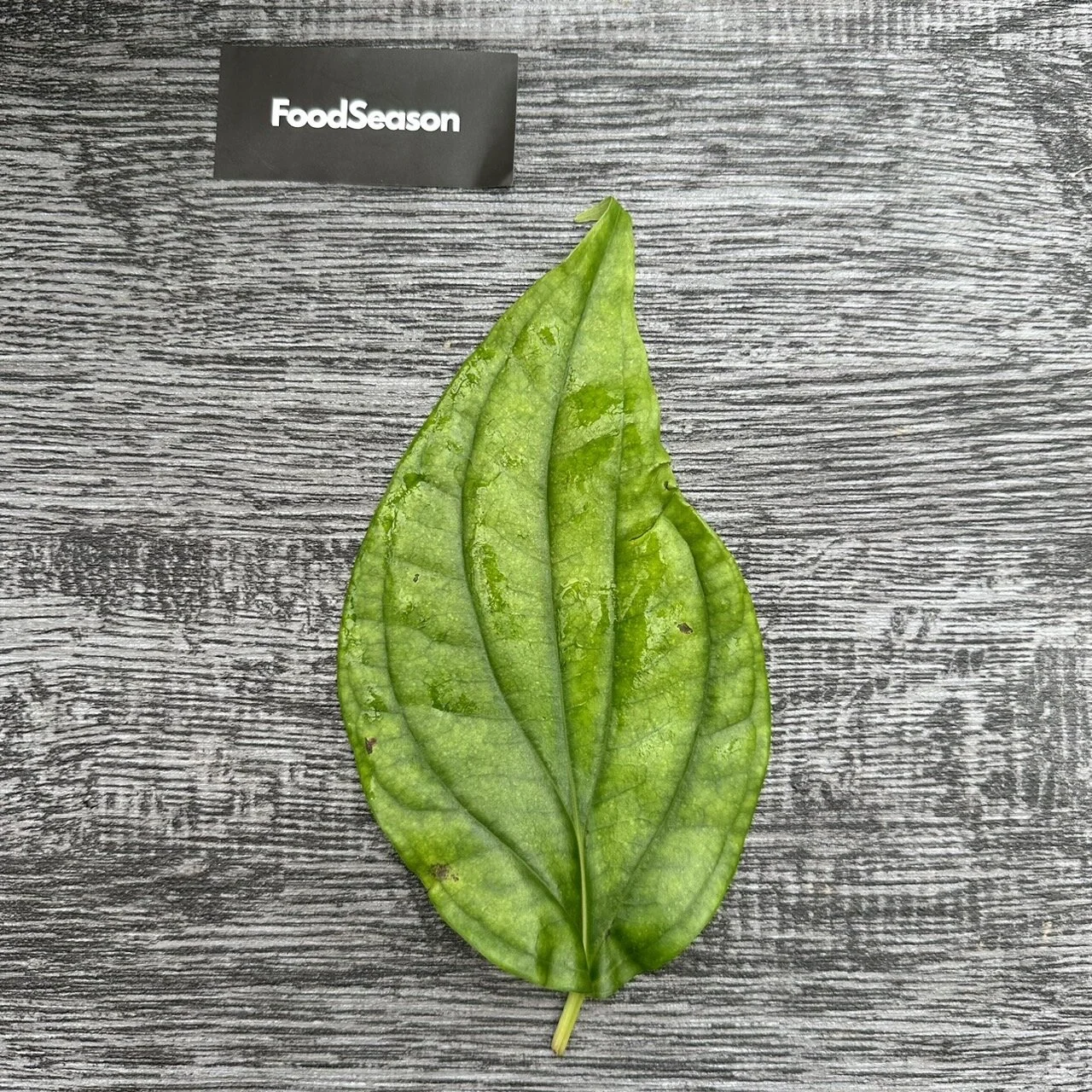 1810D2D2-2231-4802-9A0F-9FFD4D231381