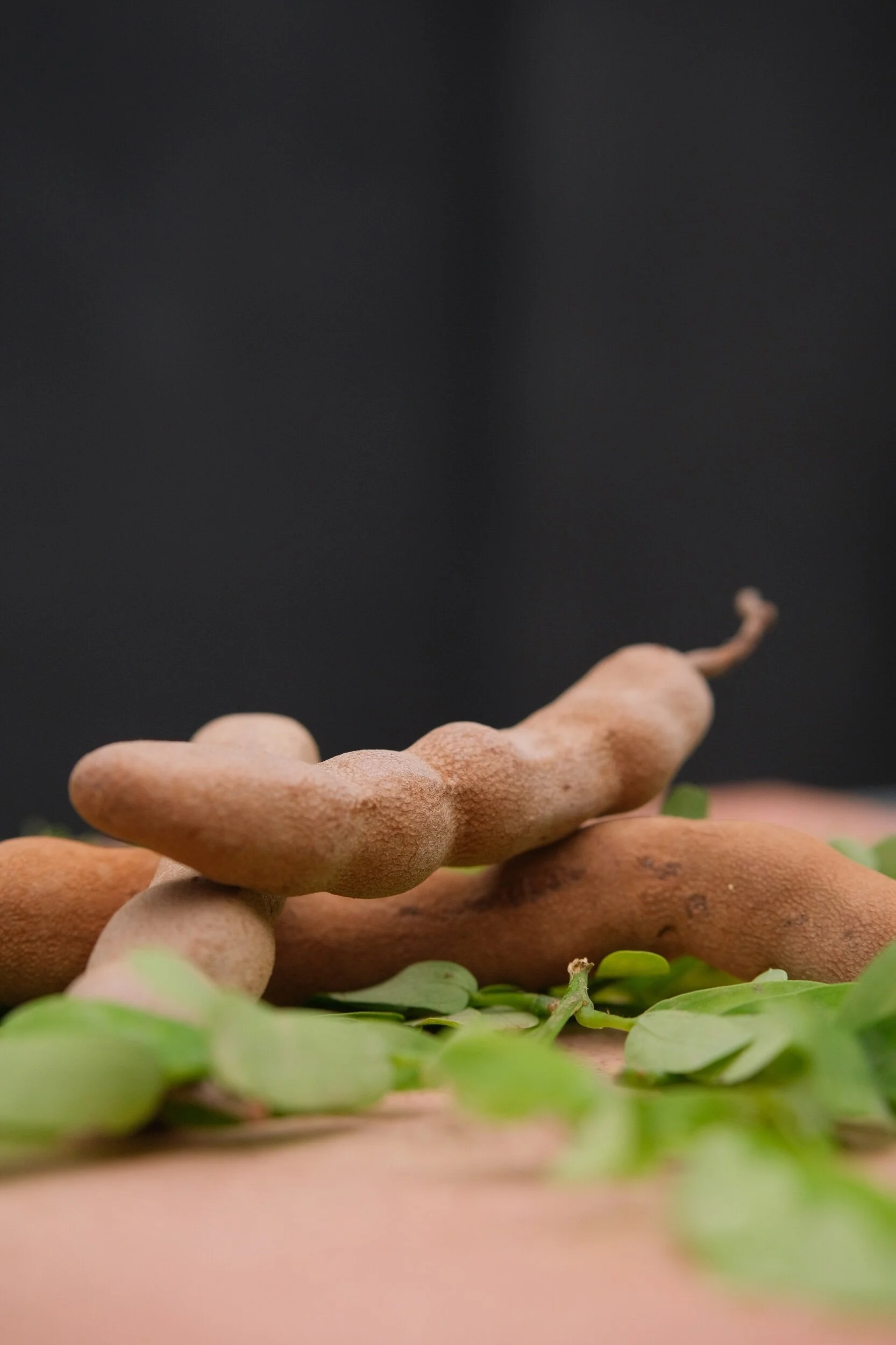 5B7FCD89-E98C-4BF3-A392-3E2453FBAADE