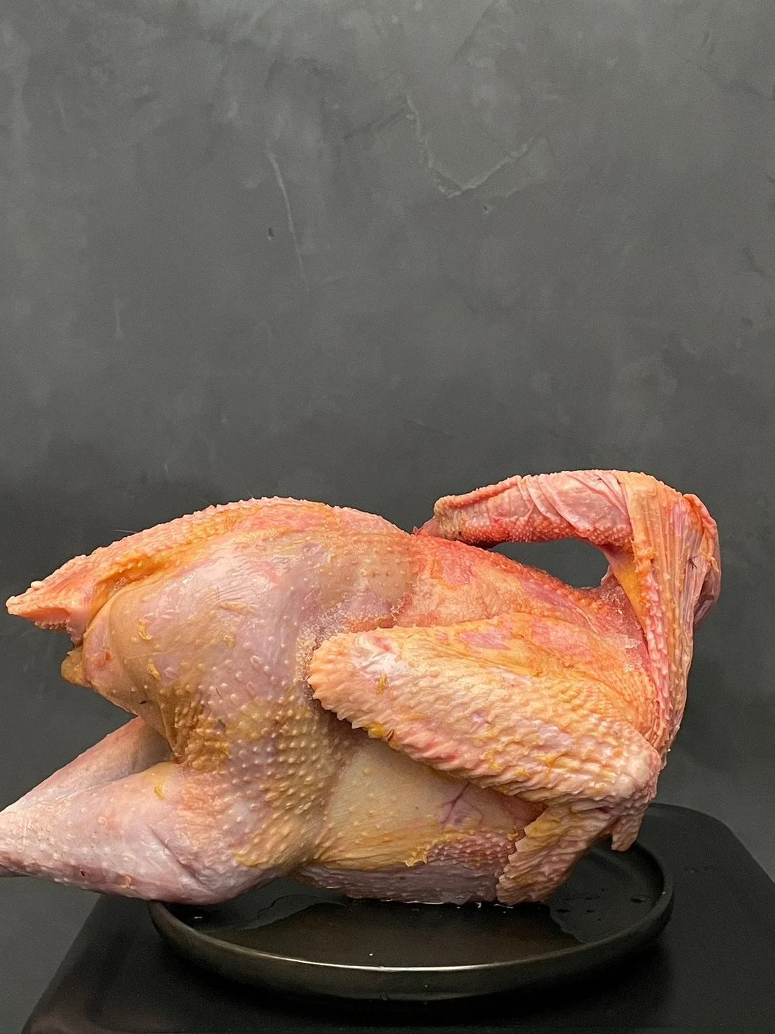 孔雀/Peacock/孔雀