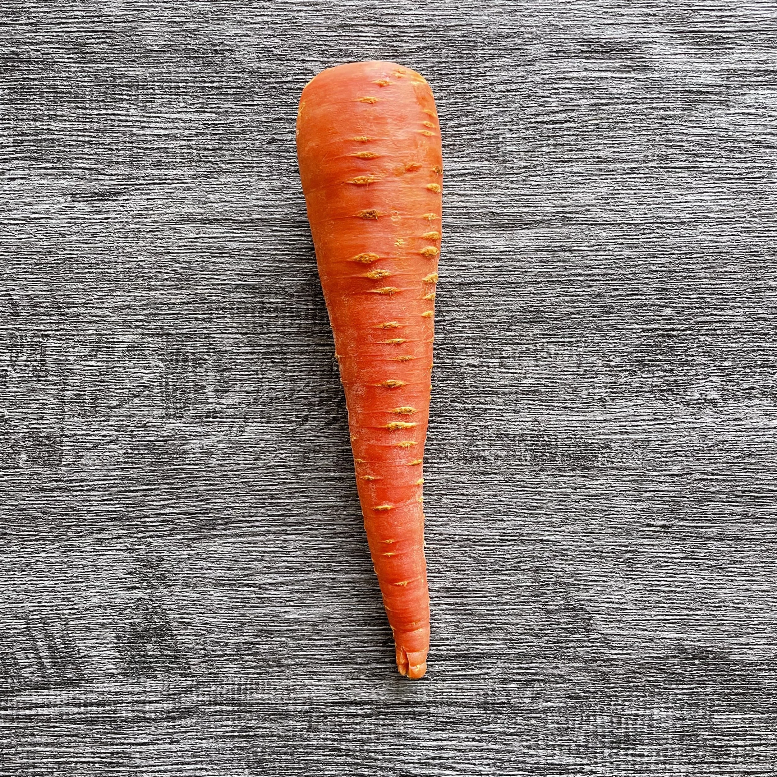 妖怪蘿蔔 / Colorful radish / カラフル大根