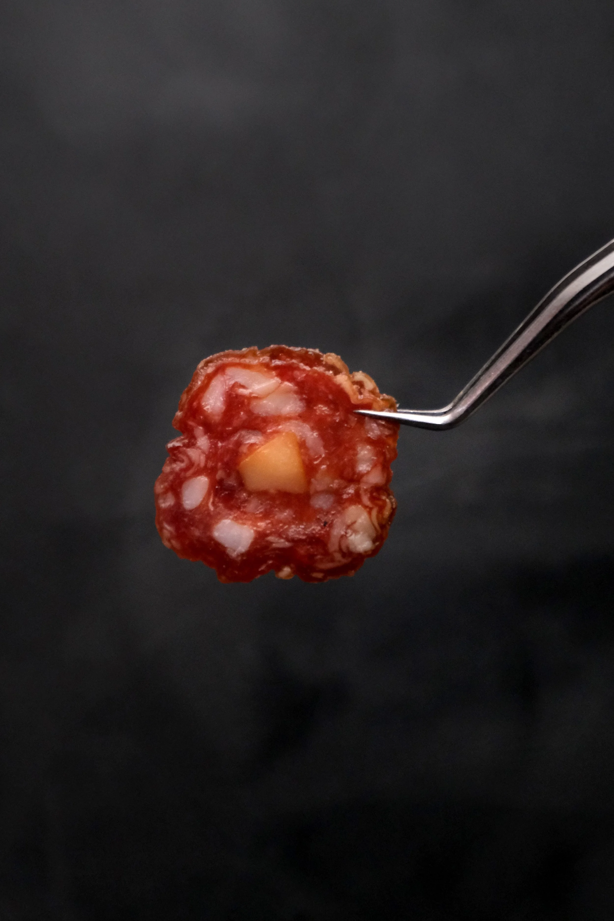 Salami風乾熟成臘腸-起司-2.jpg