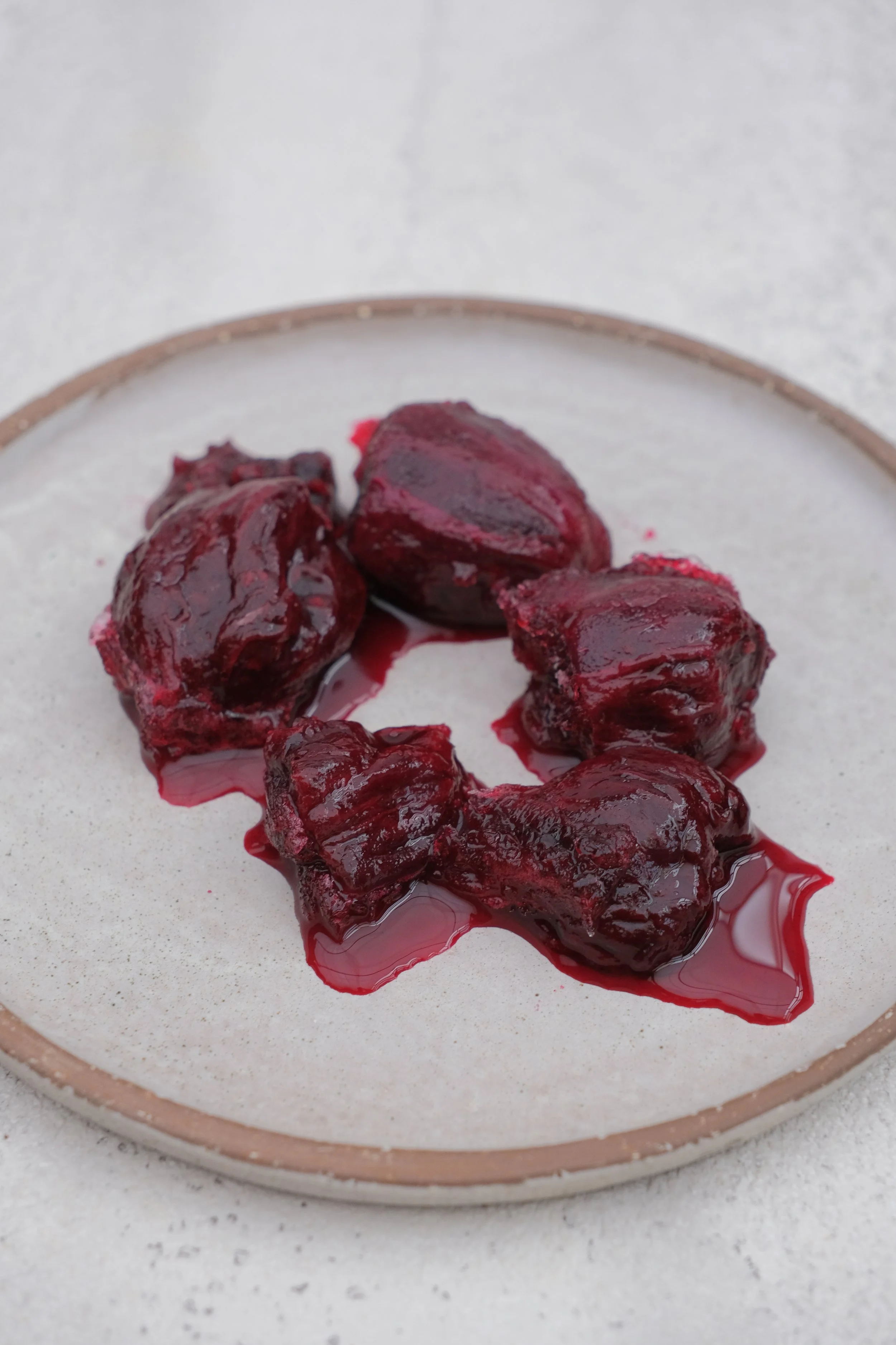 澎湖仙人掌果/prickly pear/サボテンの実