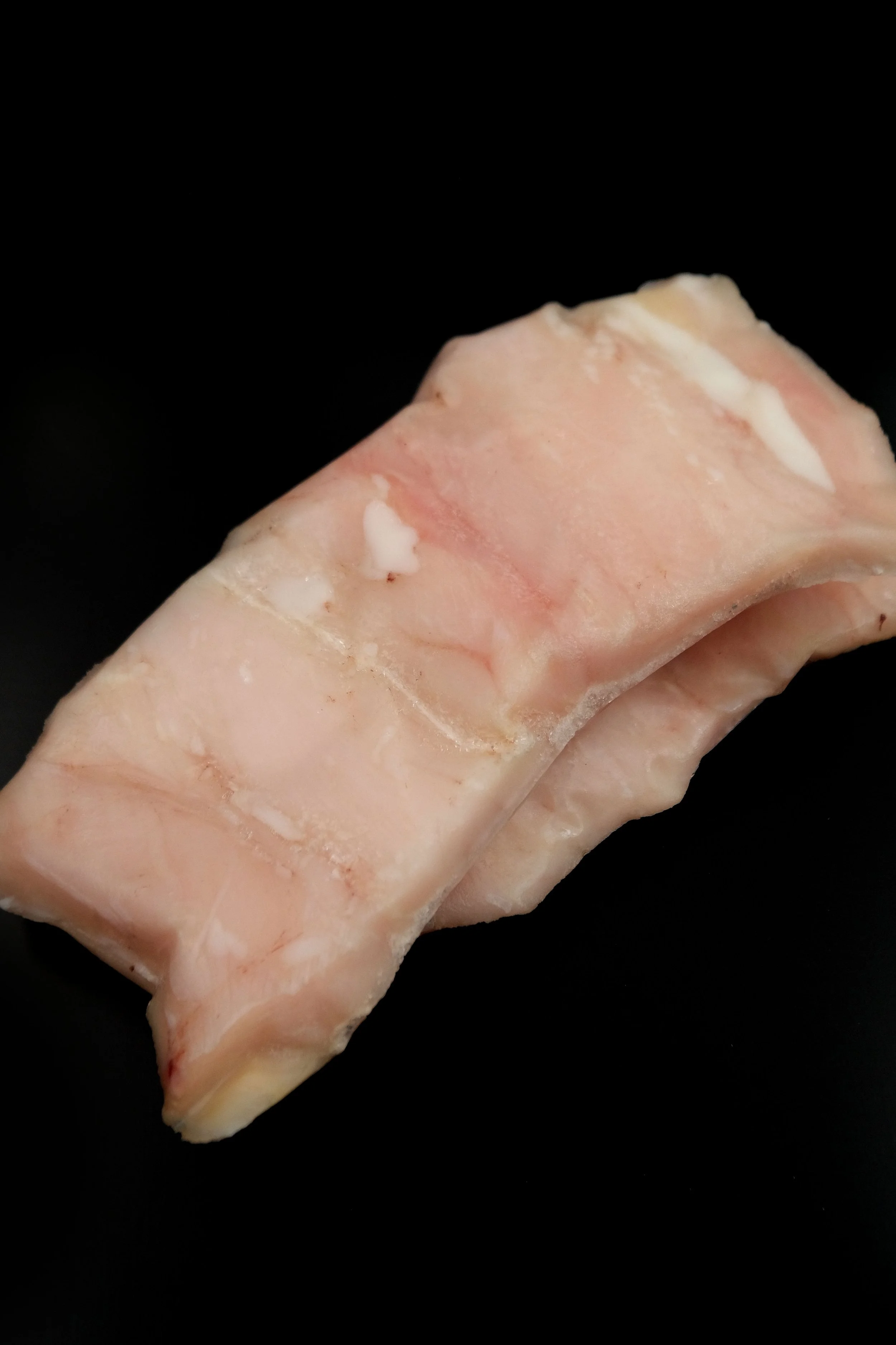 鱷魚沙朗-1.jpg