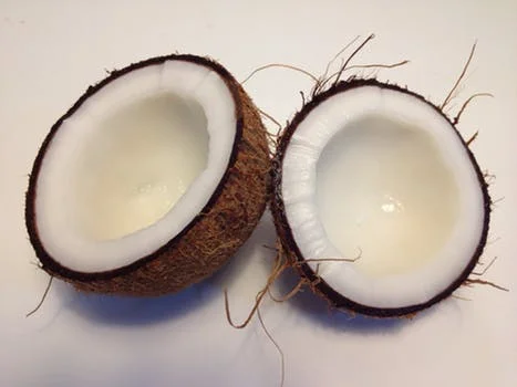coconut.jpeg