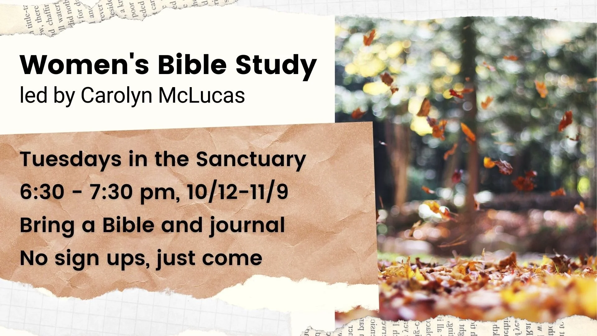 Women's Bible Study