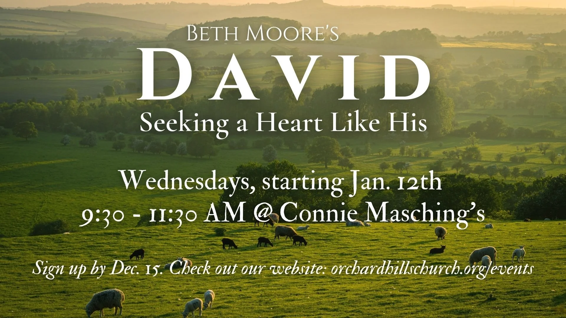 Women's Study: David - Wednesday Group