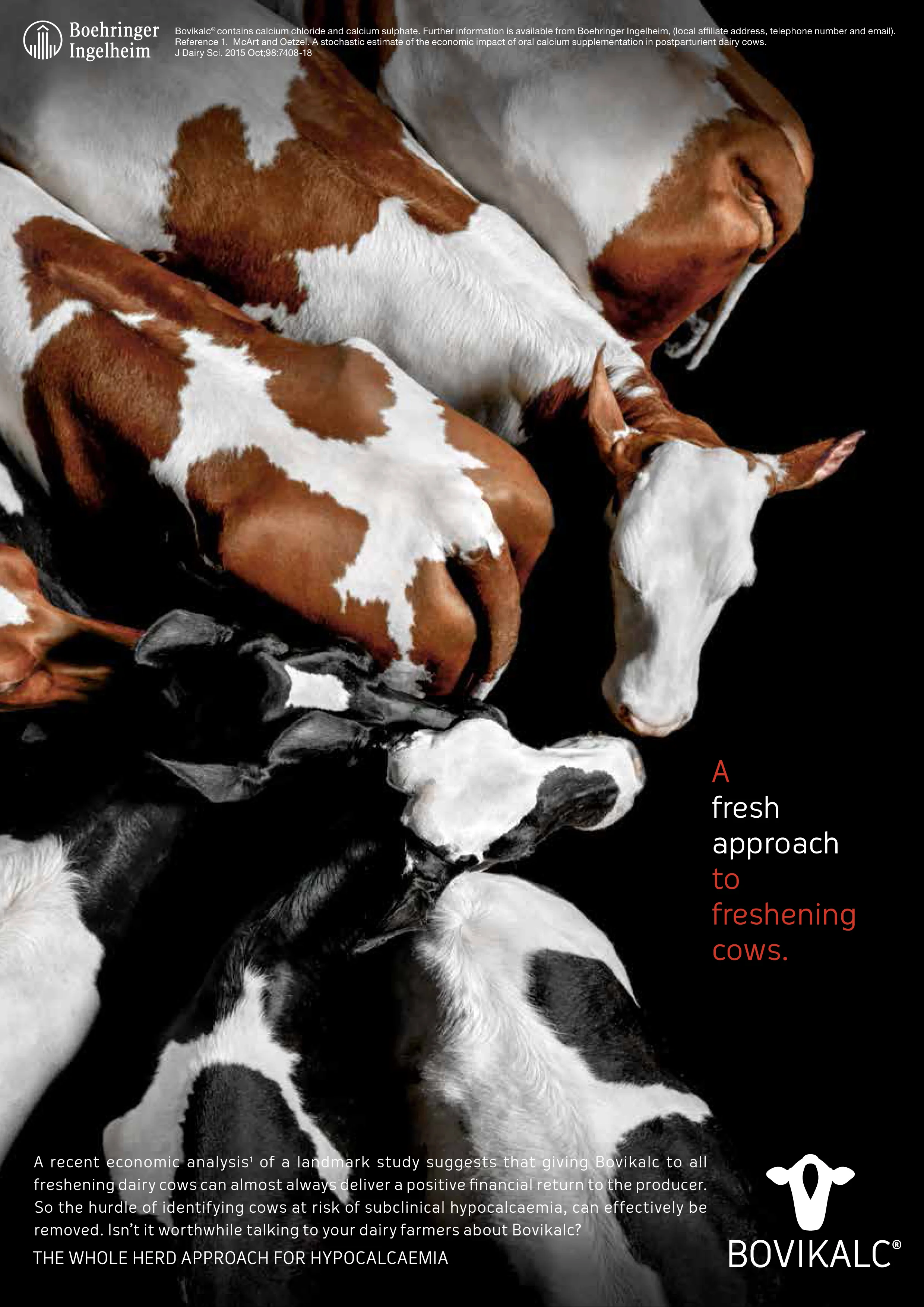 Bovikalc Whole Herd LO RES(CLEAN WHITES+H-Ls)-1.jpg