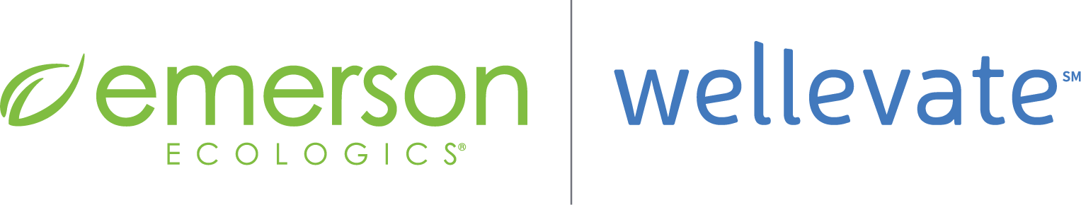 EE&W Rule.png