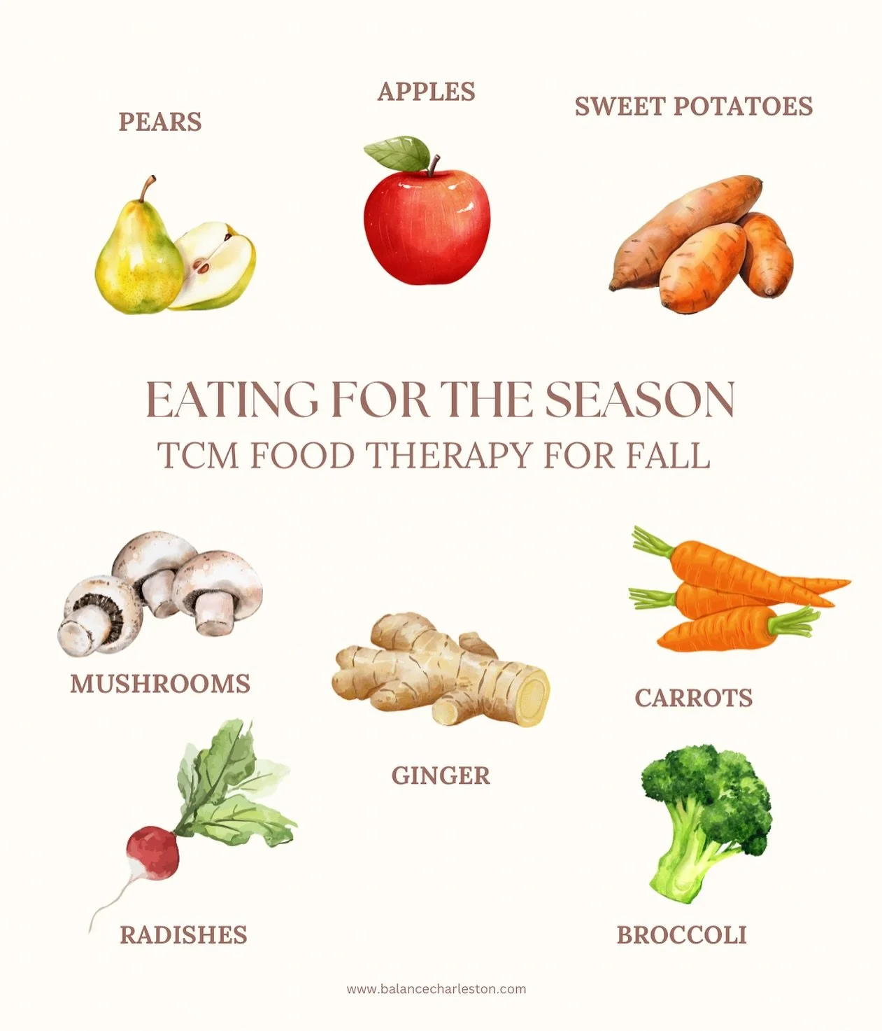 🍂 8 Foods to Nourish You This Fall &mdash; TCM Inspired to keep you grounded and balanced.

🍐 Pears
Moistening and cooling, pears are a top fall fruit in TCM. They help soothe dryness in the Lungs and throat while supporting hydration as the air ge