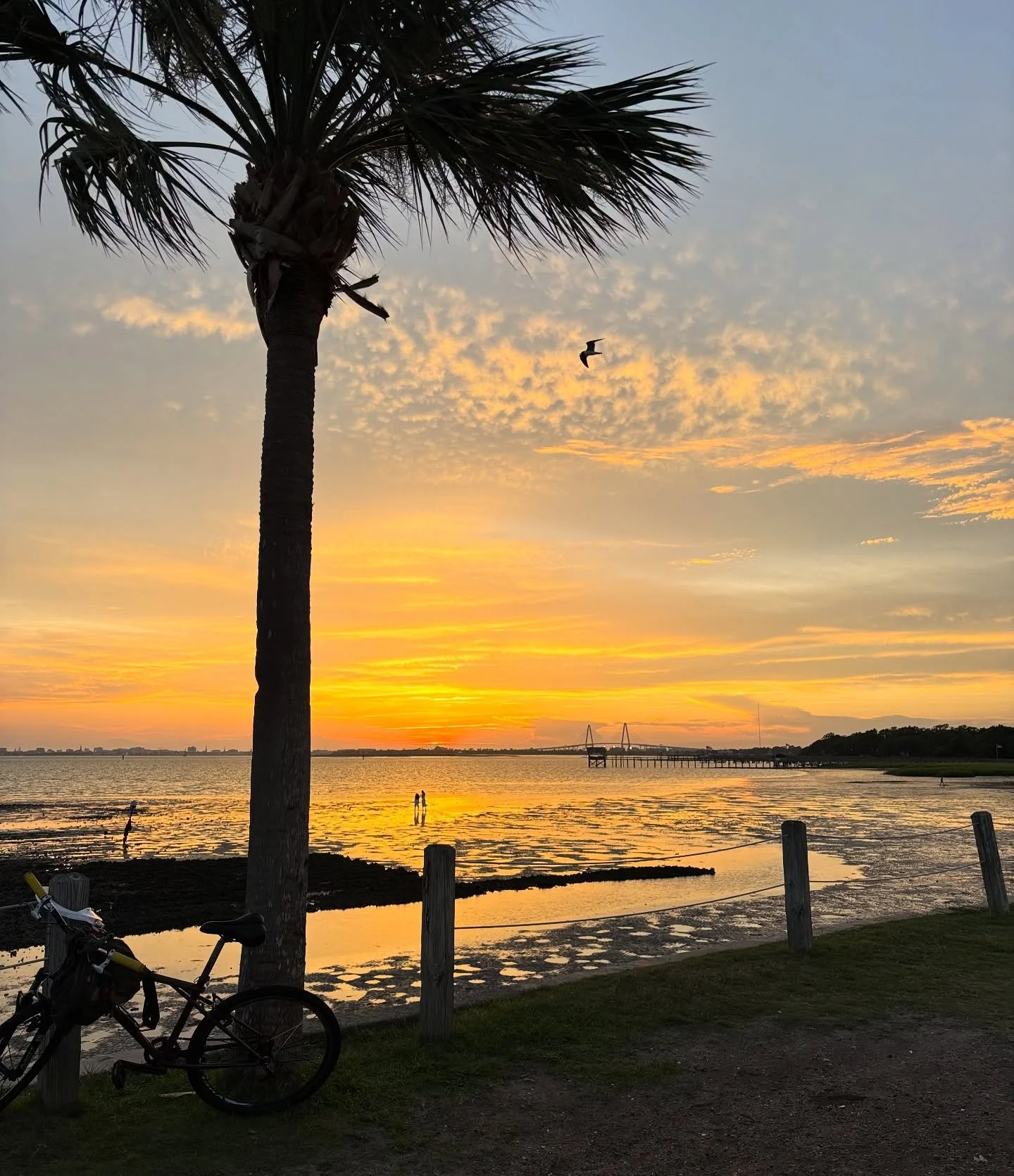 Welcome, November. 🍁 A month to slow down, breathe deeper, and come back to center.

As the days grow shorter, your body naturally craves warmth, stillness, and nourishment, gentle reminders to pause and care for yourself. 🌿

This season, focus on 