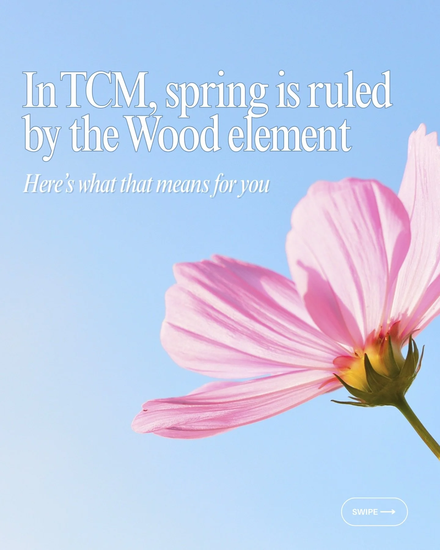 Spring in TCM is all about the Wood element-growth, movement, and new energy 🌿

But when your body isn&rsquo;t supported, that energy can feel more like tension, frustration, or feeling stuck.

This is your reminder to slow down, support your body, 