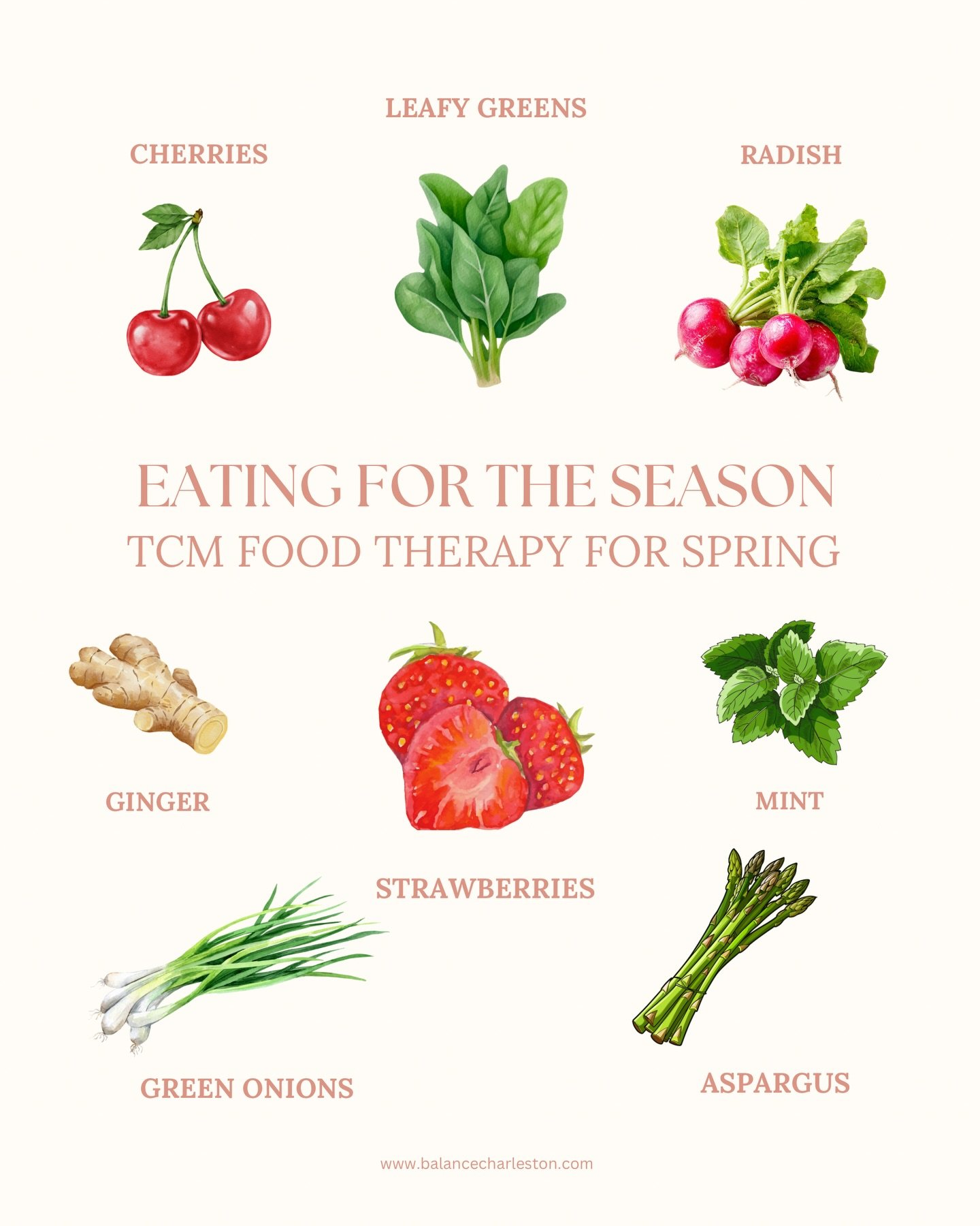 Eating with the season is one of the simplest ways to support your body 🌱

In Traditional Chinese Medicine, spring is connected to the liver and gallbladder&mdash;systems responsible for the smooth flow of Qi (energy), digestion, and emotional balan