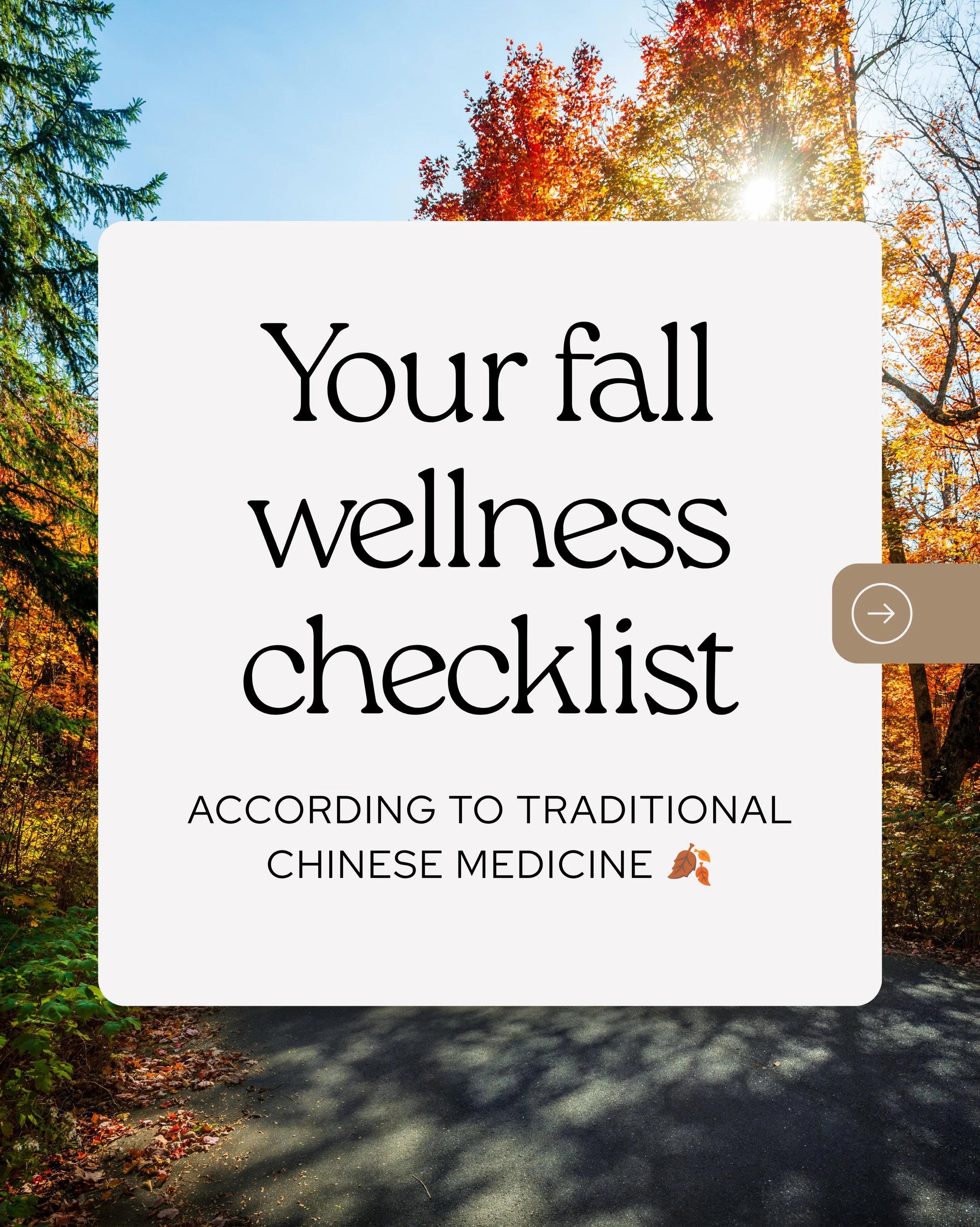 Fall is officially here 🍂 And according to Chinese medicine, a new season is an opportunity to check in with your body + give it a little extra support through the transition.

As the days get shorter and the weather begins to shift, you may notice 