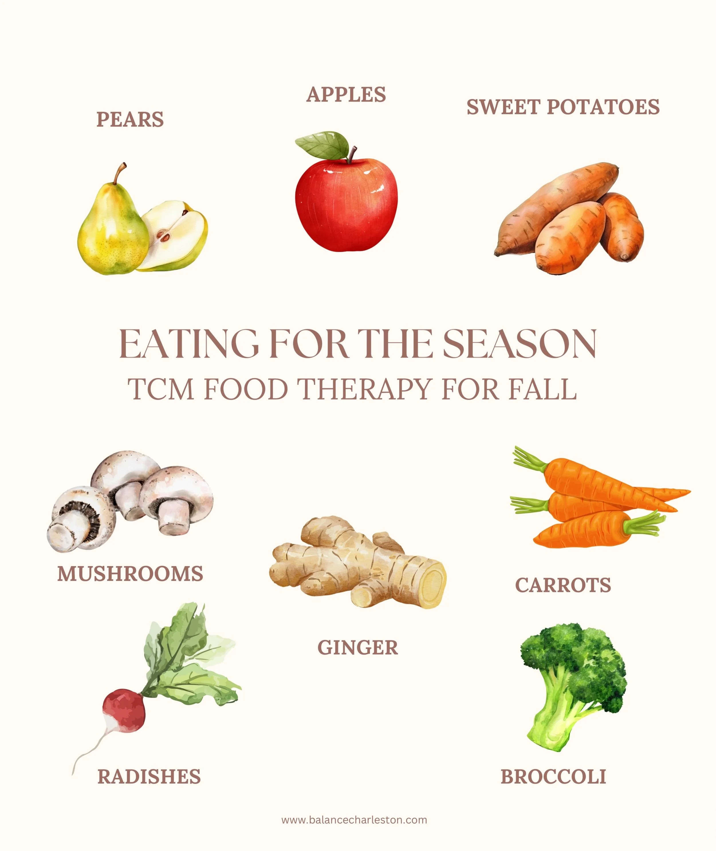 Eating for the season, TCM style. 🍂

In Traditional Chinese Medicine, fall is associated with the Lung + Large Intestine systems and a shift toward cooler, drier weather. Seasonal food therapy often focuses on foods that are warming, nourishing, moi