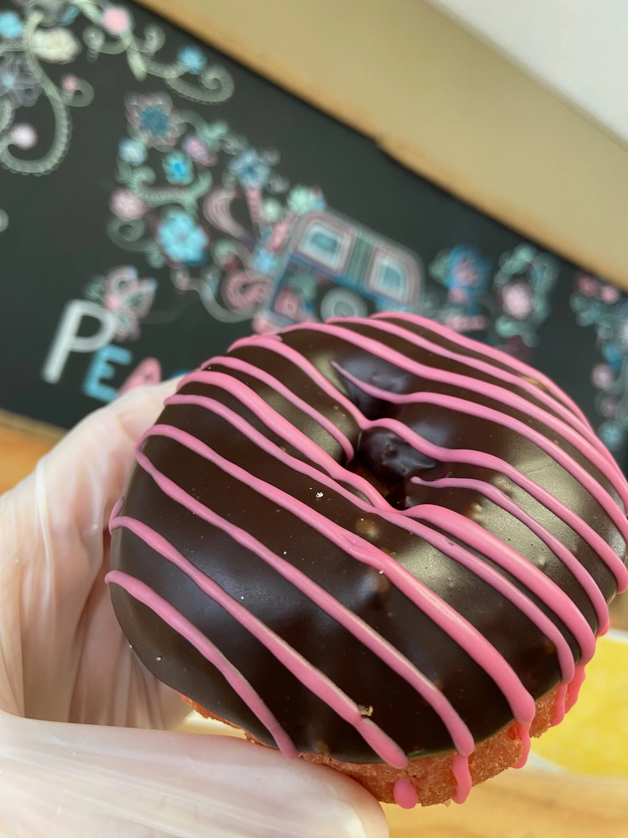 Cherry Cake w Chocolate Icing.JPG
